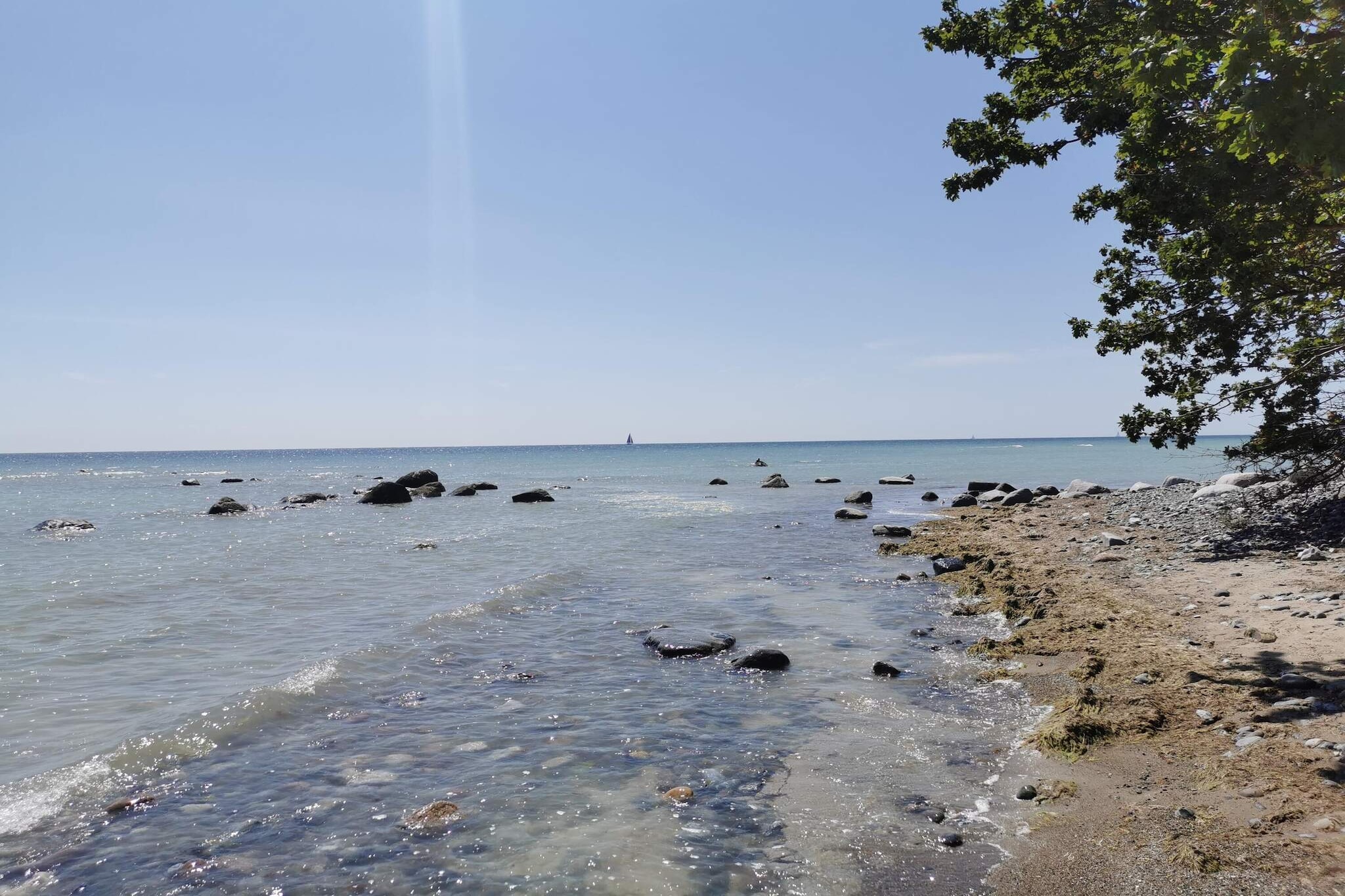 4 persoons vakantie huis in Borre-Waterzicht