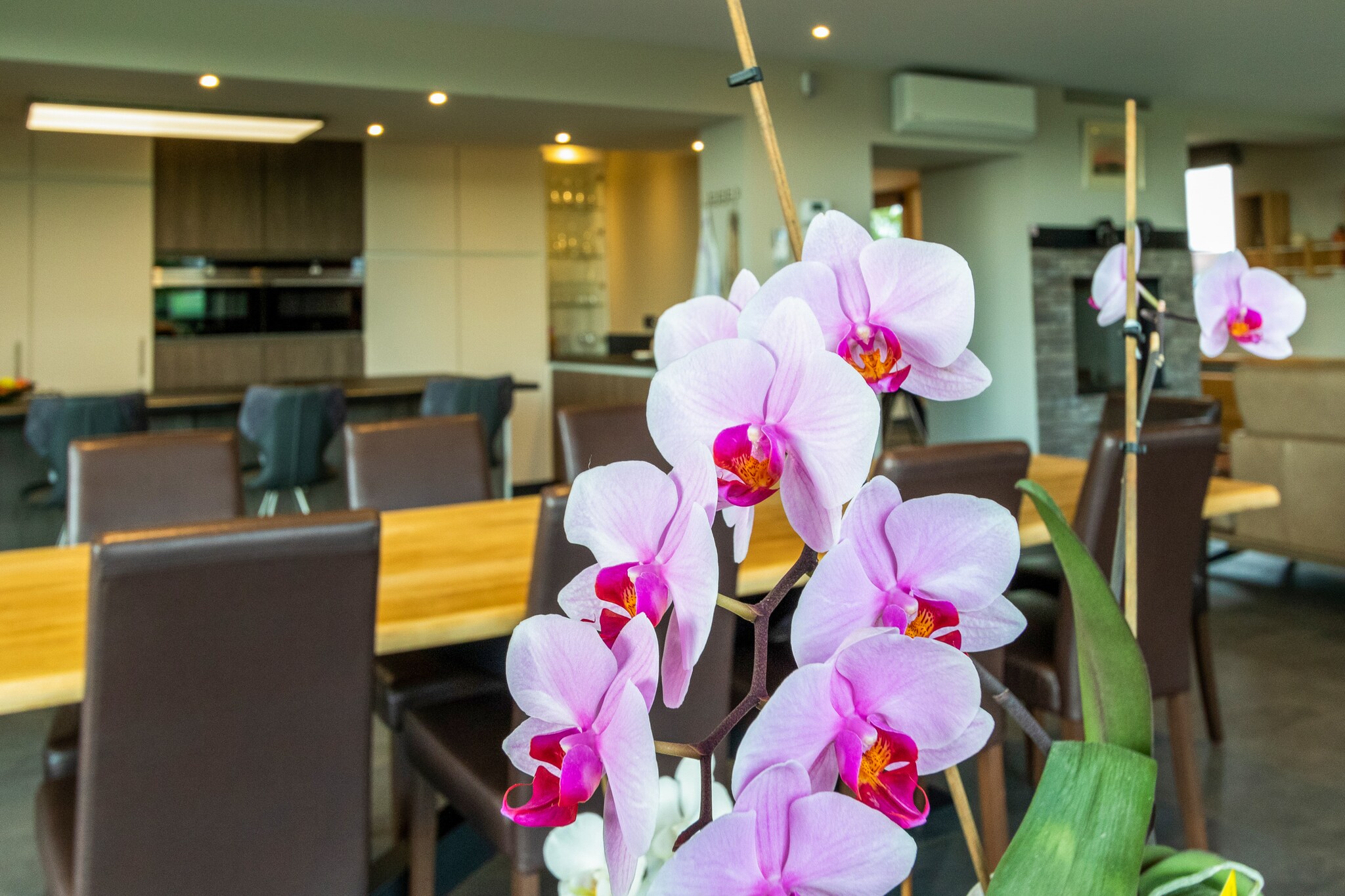 Vakantiehuis Haringe max. 10 personen 4 slaapkamers #37