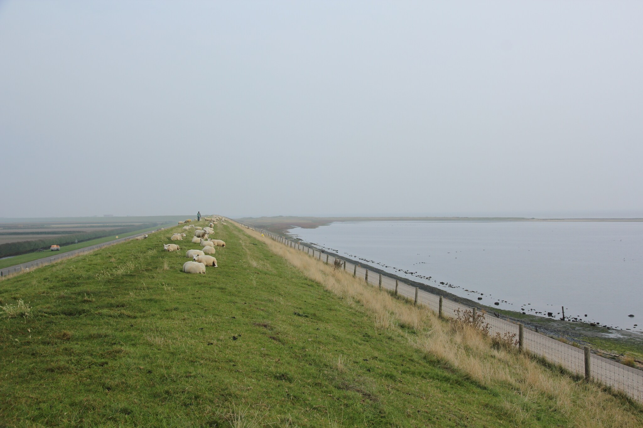 Area Summer5 K M