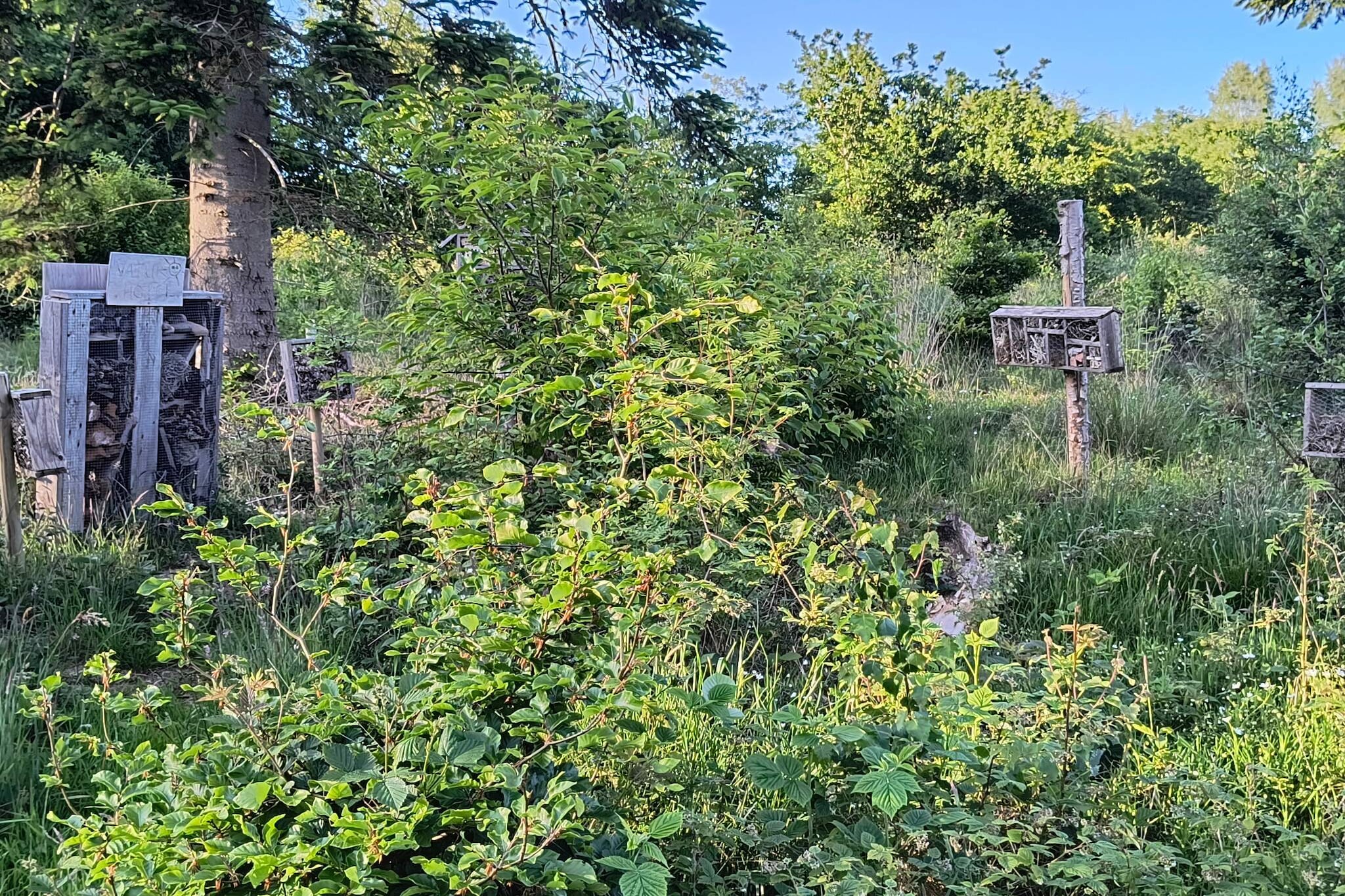 8 persoons vakantie huis in Gjern-Niet-getagd