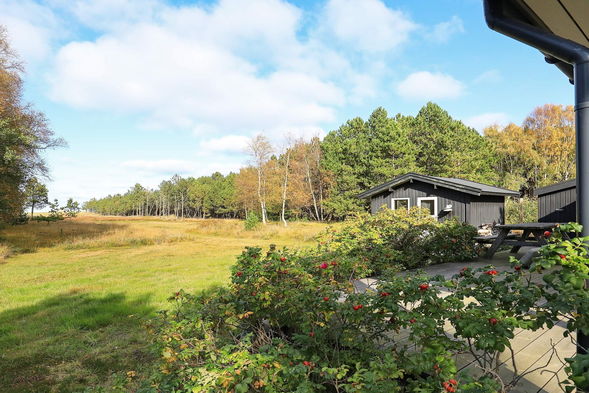 4 Personen Ferienhaus in Læsø - Aussicht