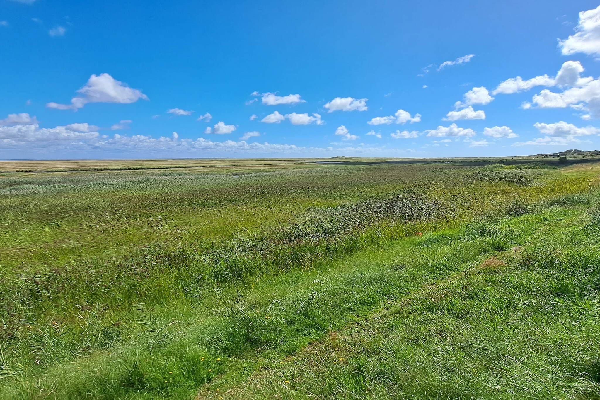 6 persoons vakantie huis in Fanø-Niet-getagd