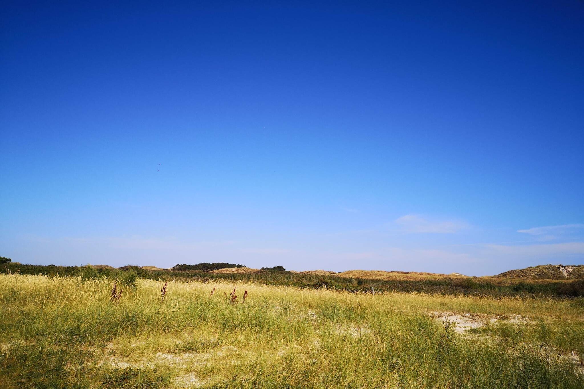 6 persoons vakantie huis in Fanø-Niet-getagd