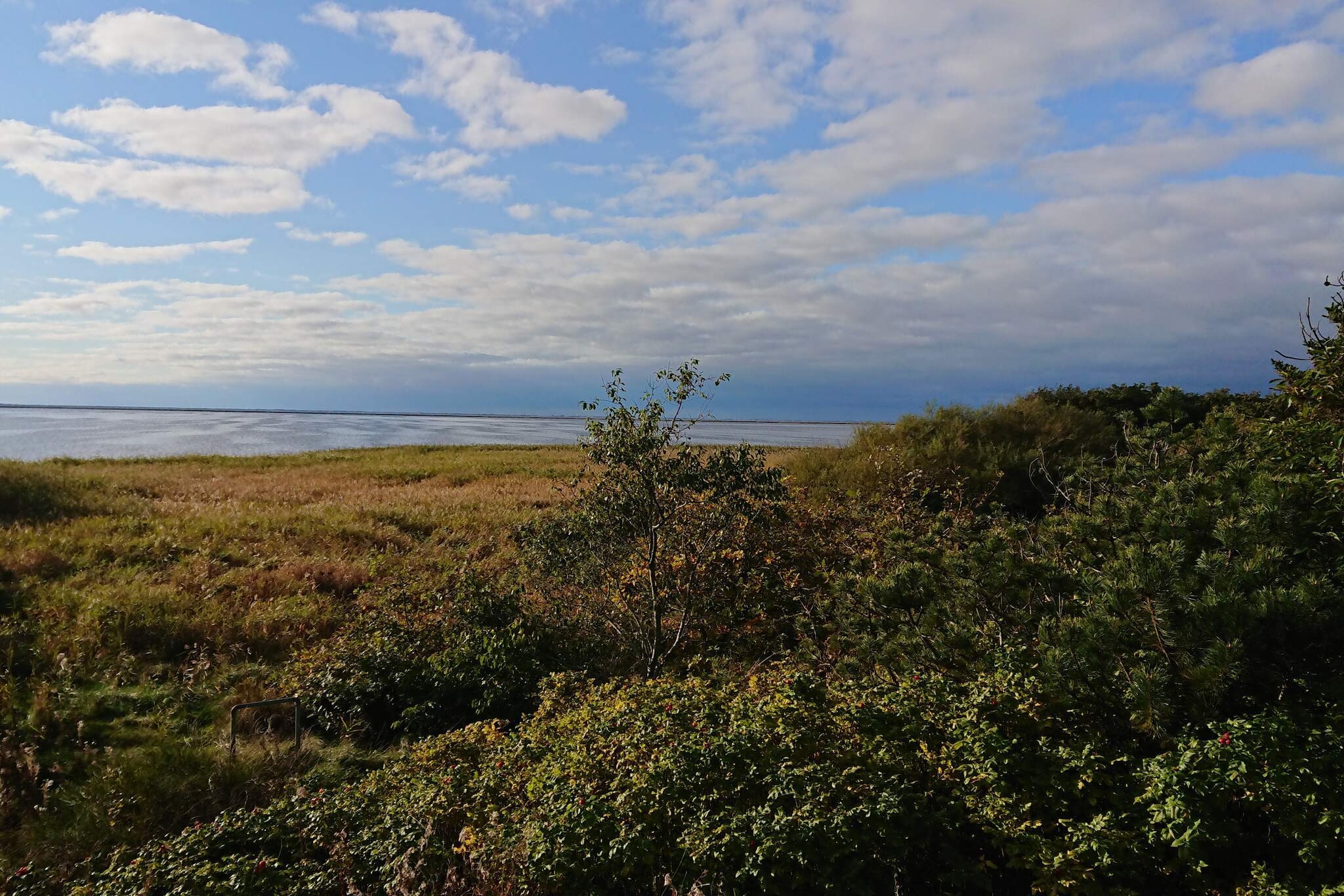 Maison de vacances pour 6 a Skjern-Vue sur l'eau