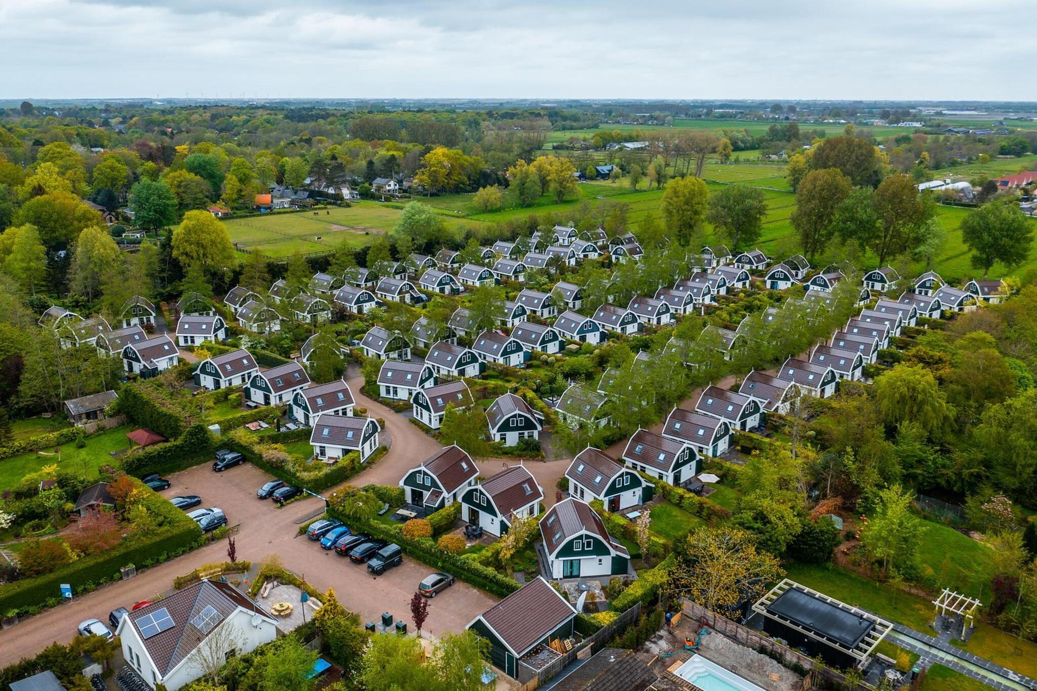 Restyled Koningshoeve 4 people - Areas within 1km in summer
