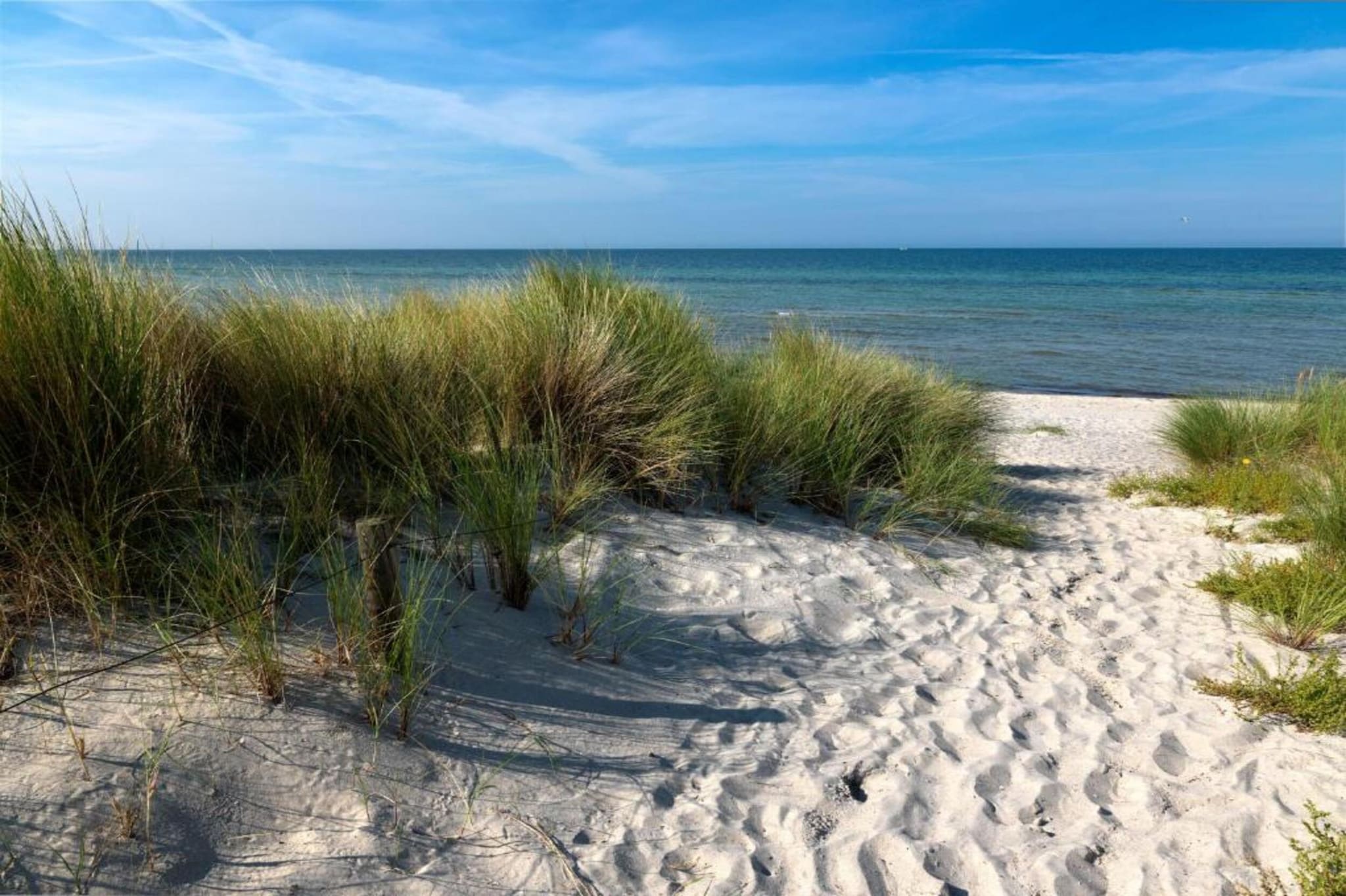 Ferienwohnung Gänseblümchen-Gebieden zomer 20km