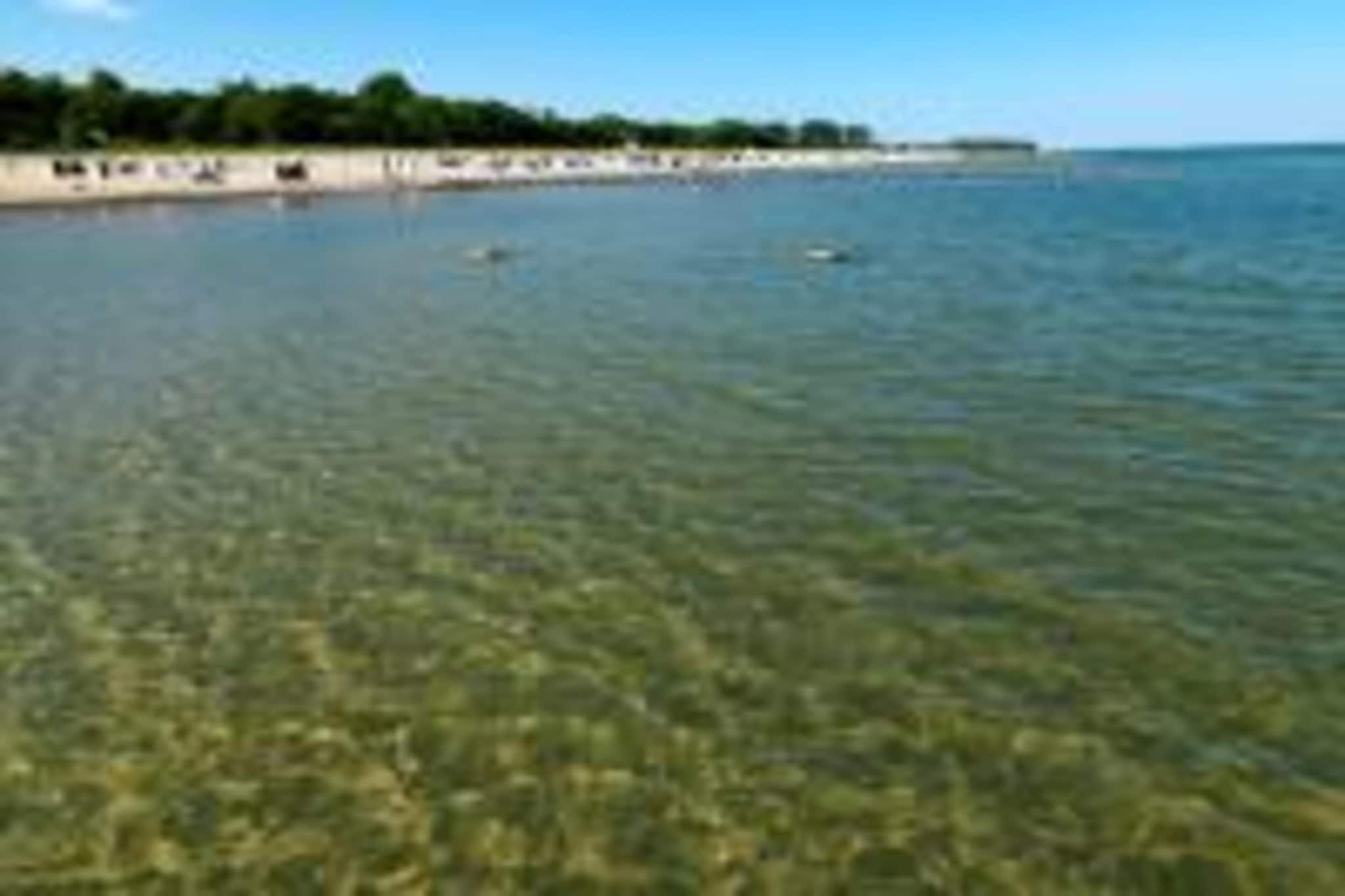 Ferienwohnung Gänseblümchen-Gebieden zomer 20km