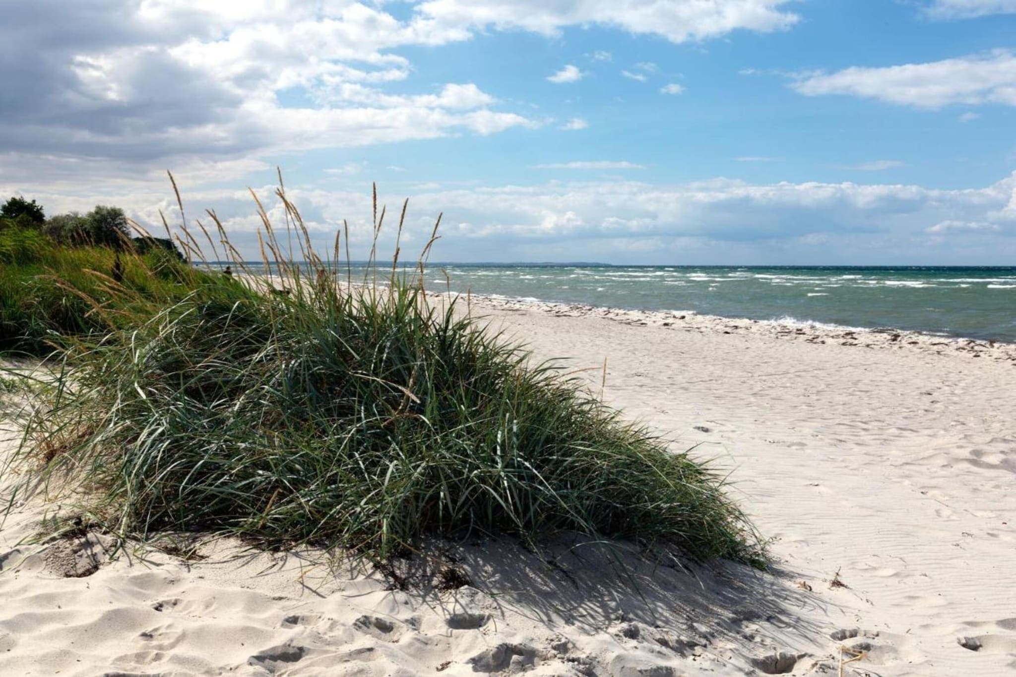 Ferienwohnung Gänseblümchen-Gebieden zomer 20km