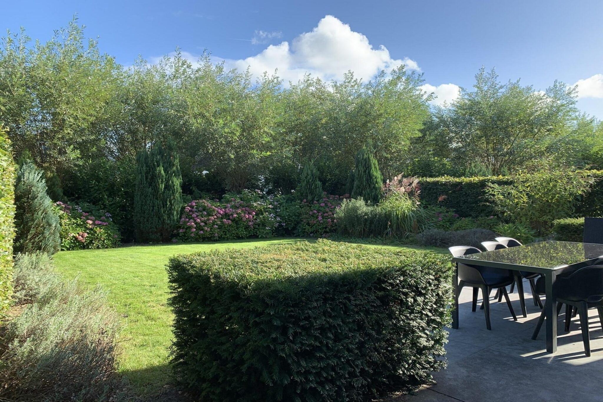 Restyled Koningshoeve 6 people - Gardens in summer