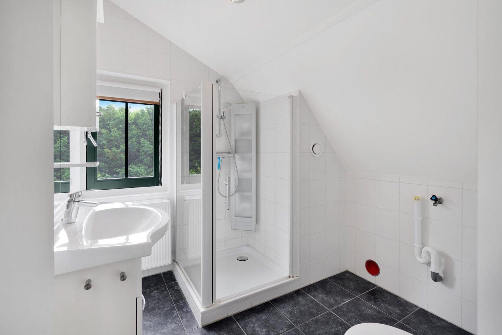 Koningshoeve Wellness 4 people - Bathroom