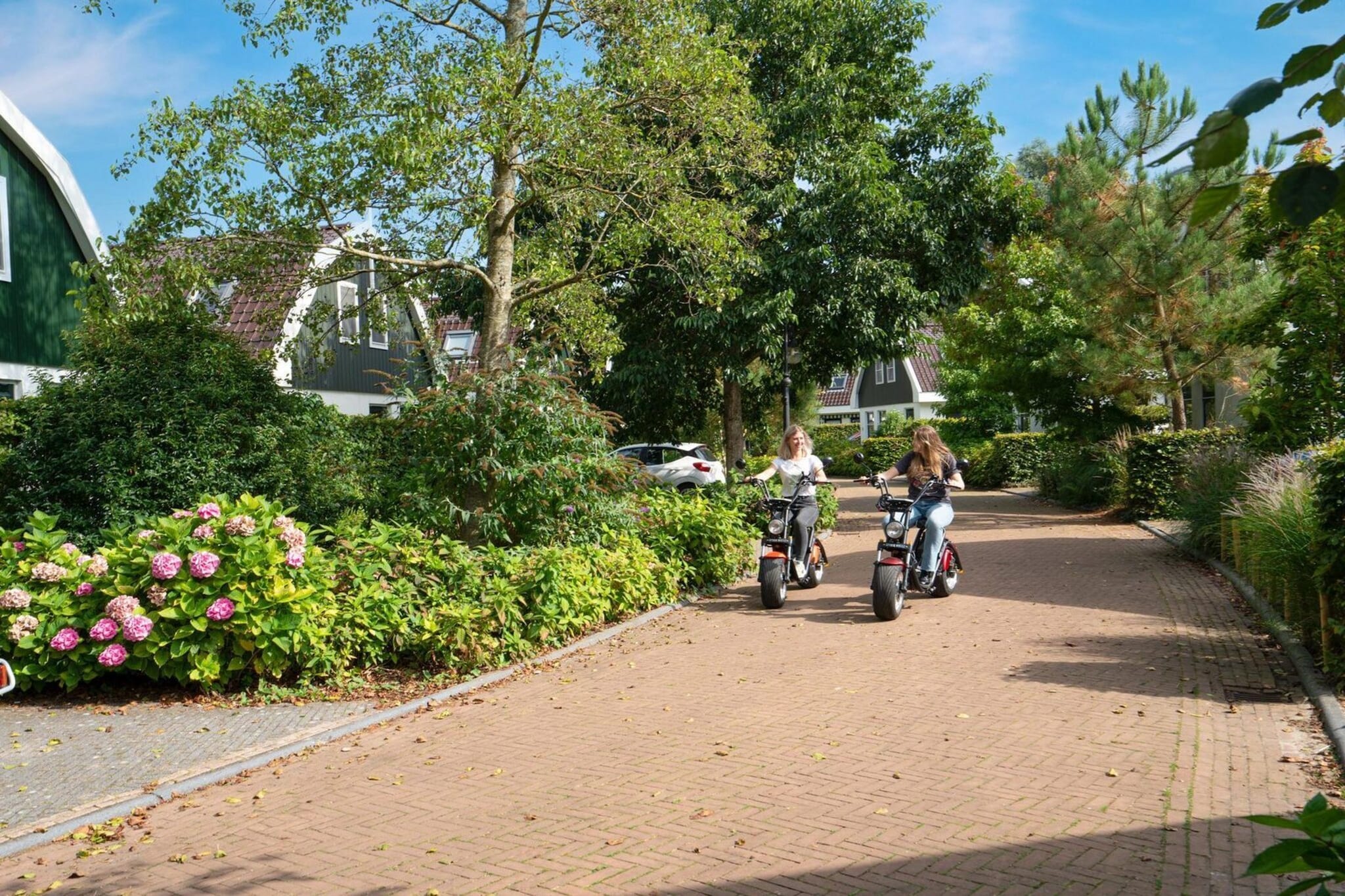 Koningshoeve Jacuzzi 4 people - Areas within 1km in summer