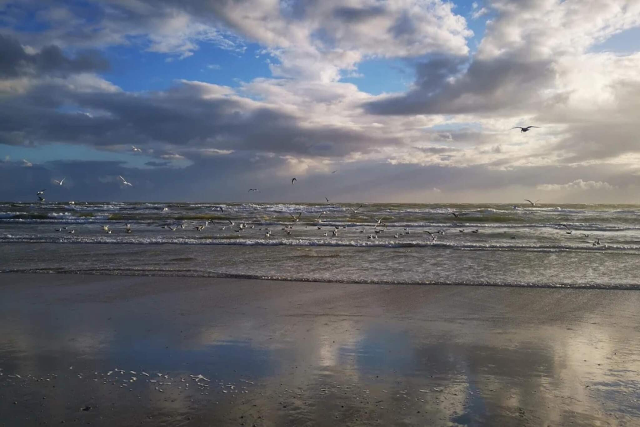 Luxe oase in Blavand-By Traum-Waterzicht