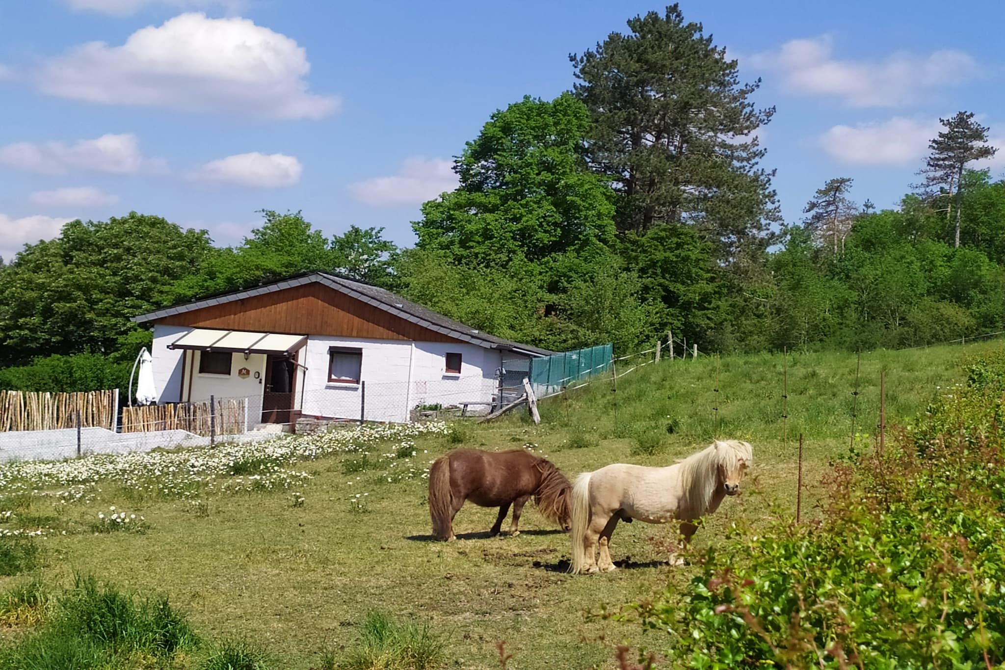 Vakantiehuis Han-sur-Lesse max. 4 personen 2 slaapkamers #7