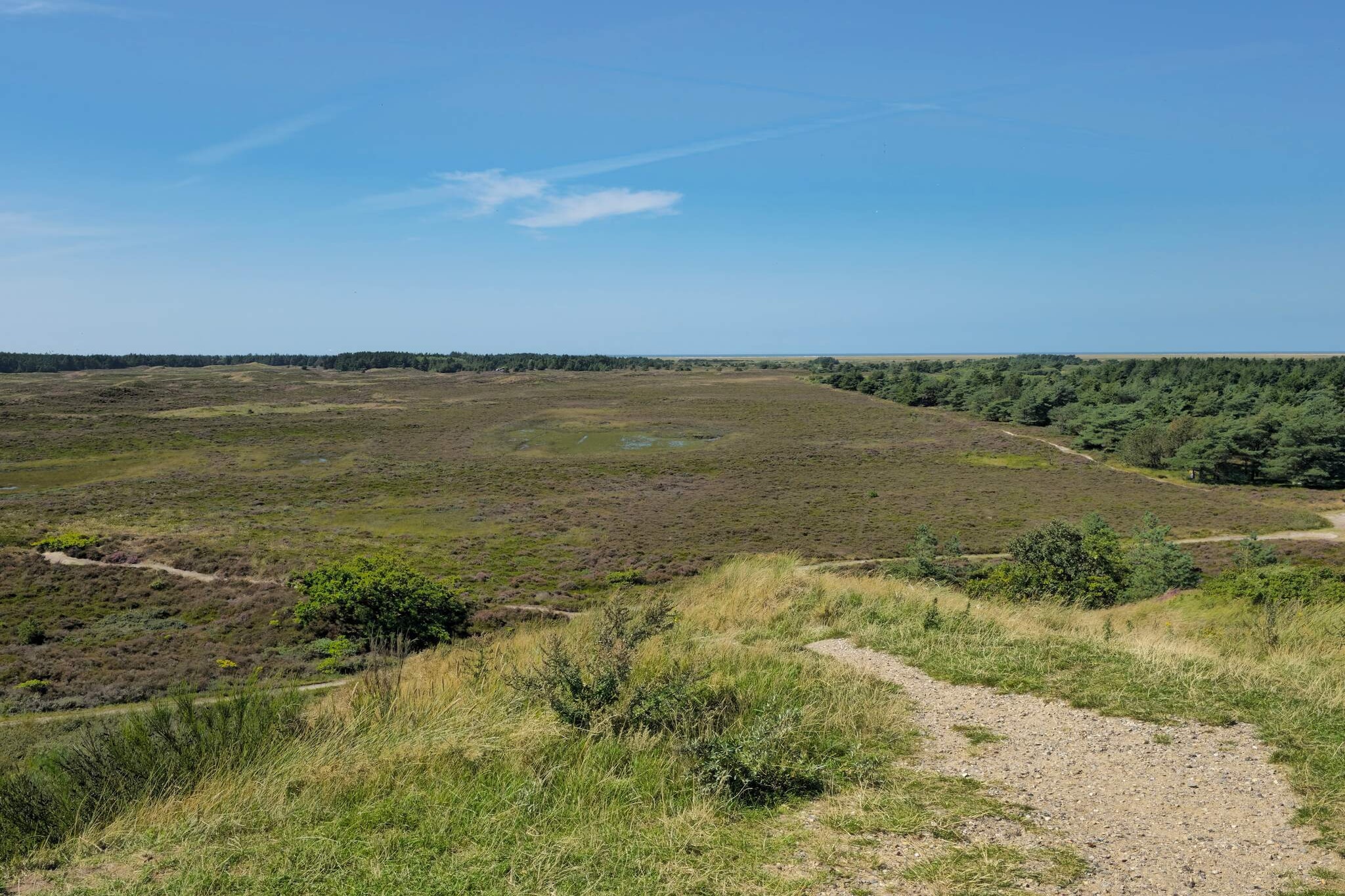 Ruhige Reetdachkate auf Romo-By Traum-Nicht zugeordnet