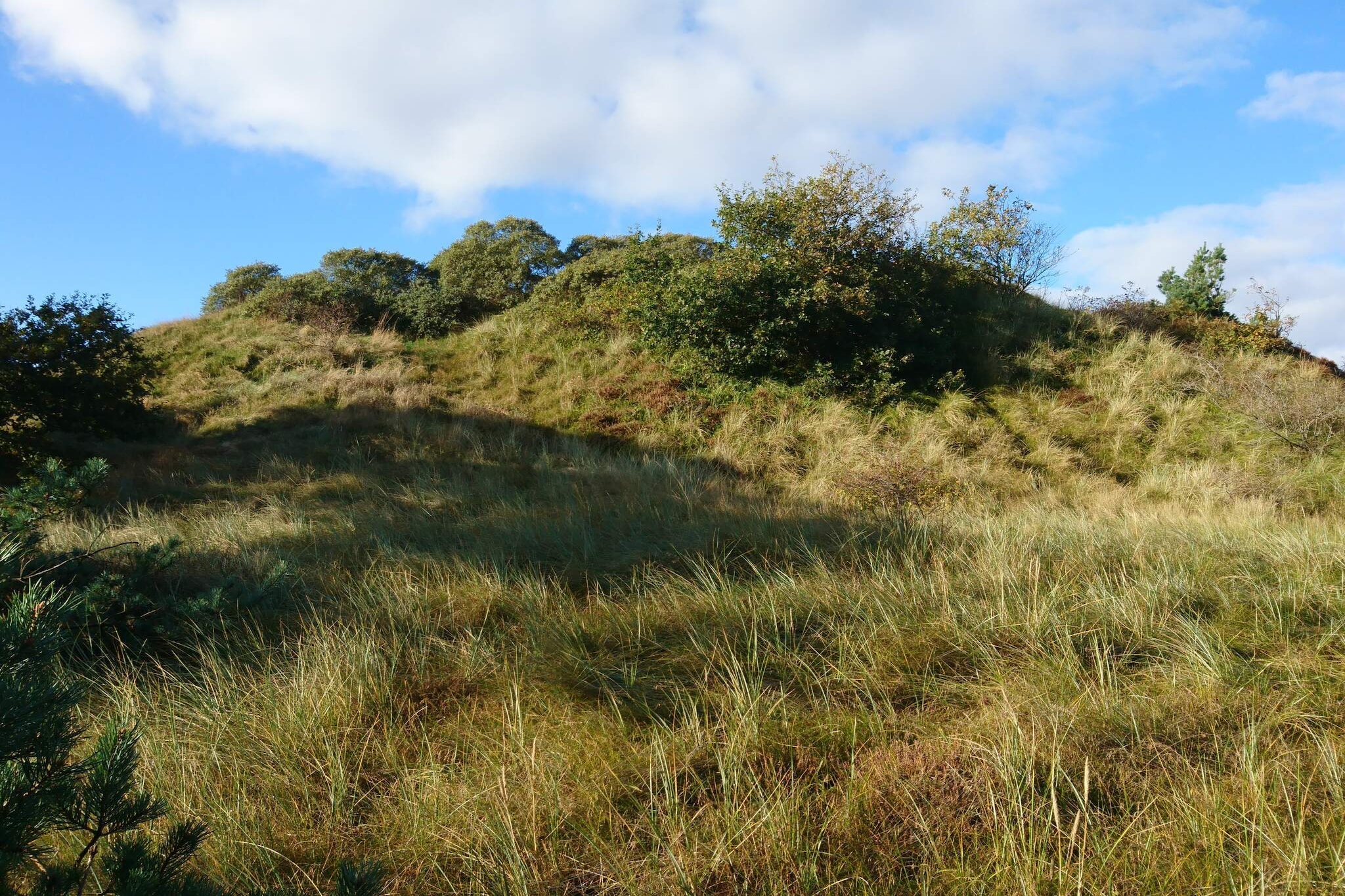 Ruhige Reetdachkate auf Romo-By Traum-Nicht zugeordnet