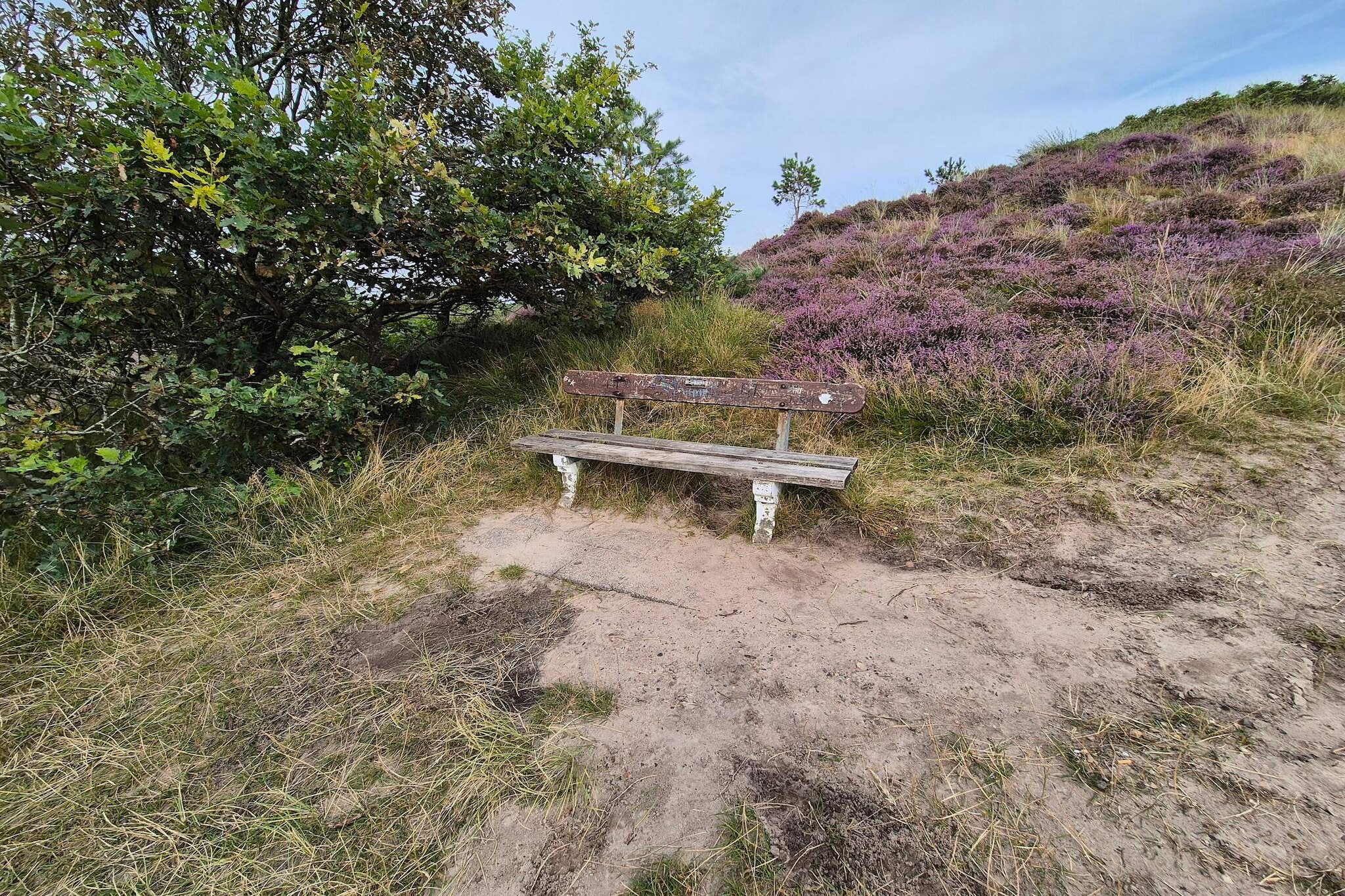 Ruhige Reetdachkate auf Romo-By Traum-Nicht zugeordnet