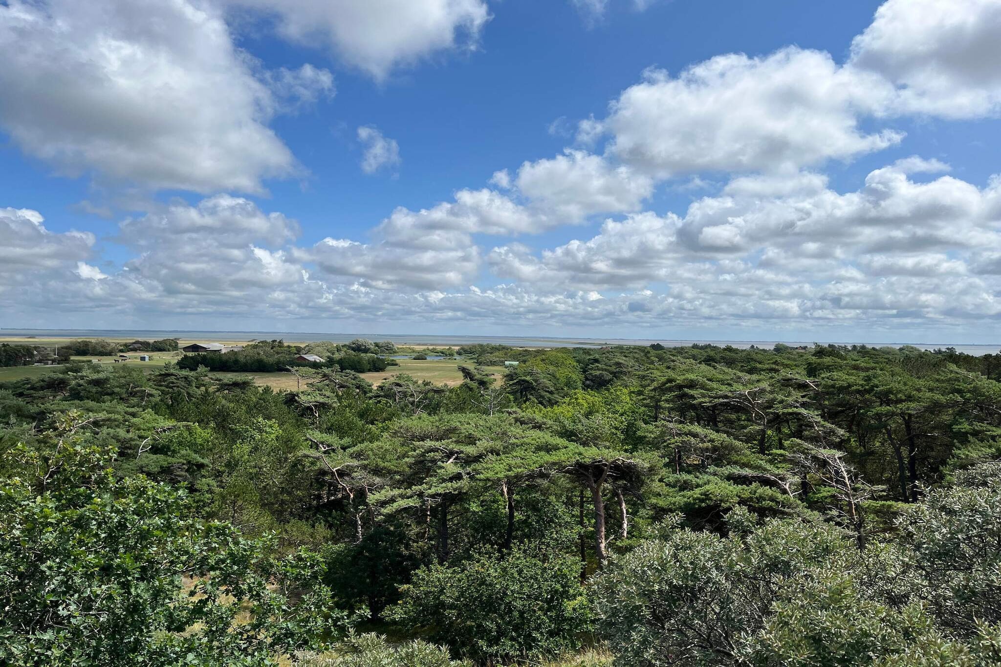 Ruhige Reetdachkate auf Romo-By Traum-Nicht zugeordnet