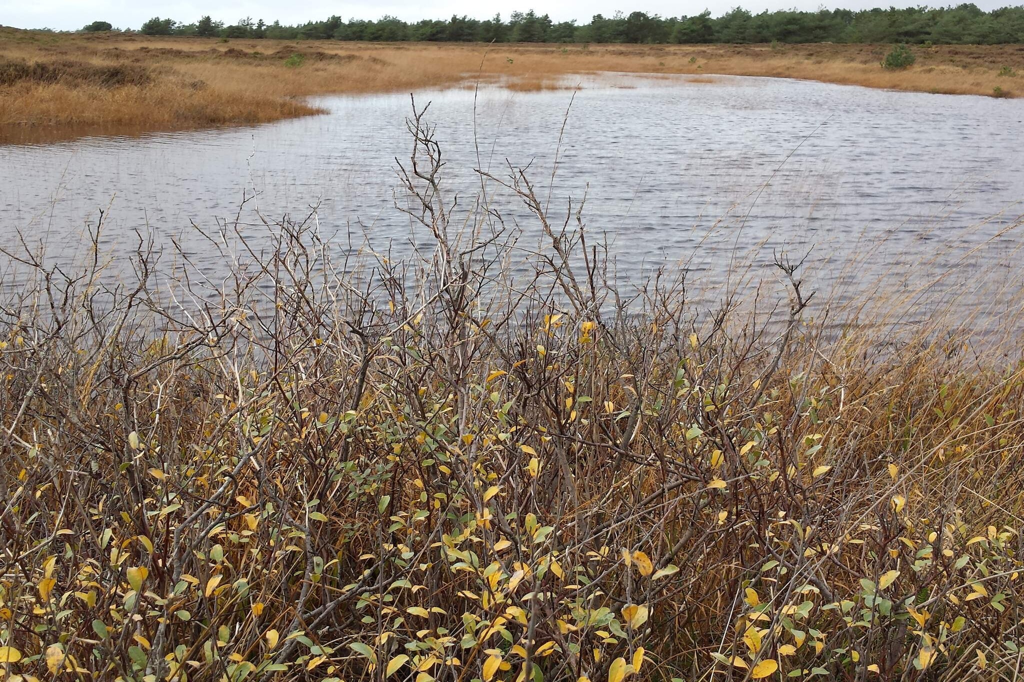 Ruhige Reetdachkate auf Romo-By Traum-Wasserblick