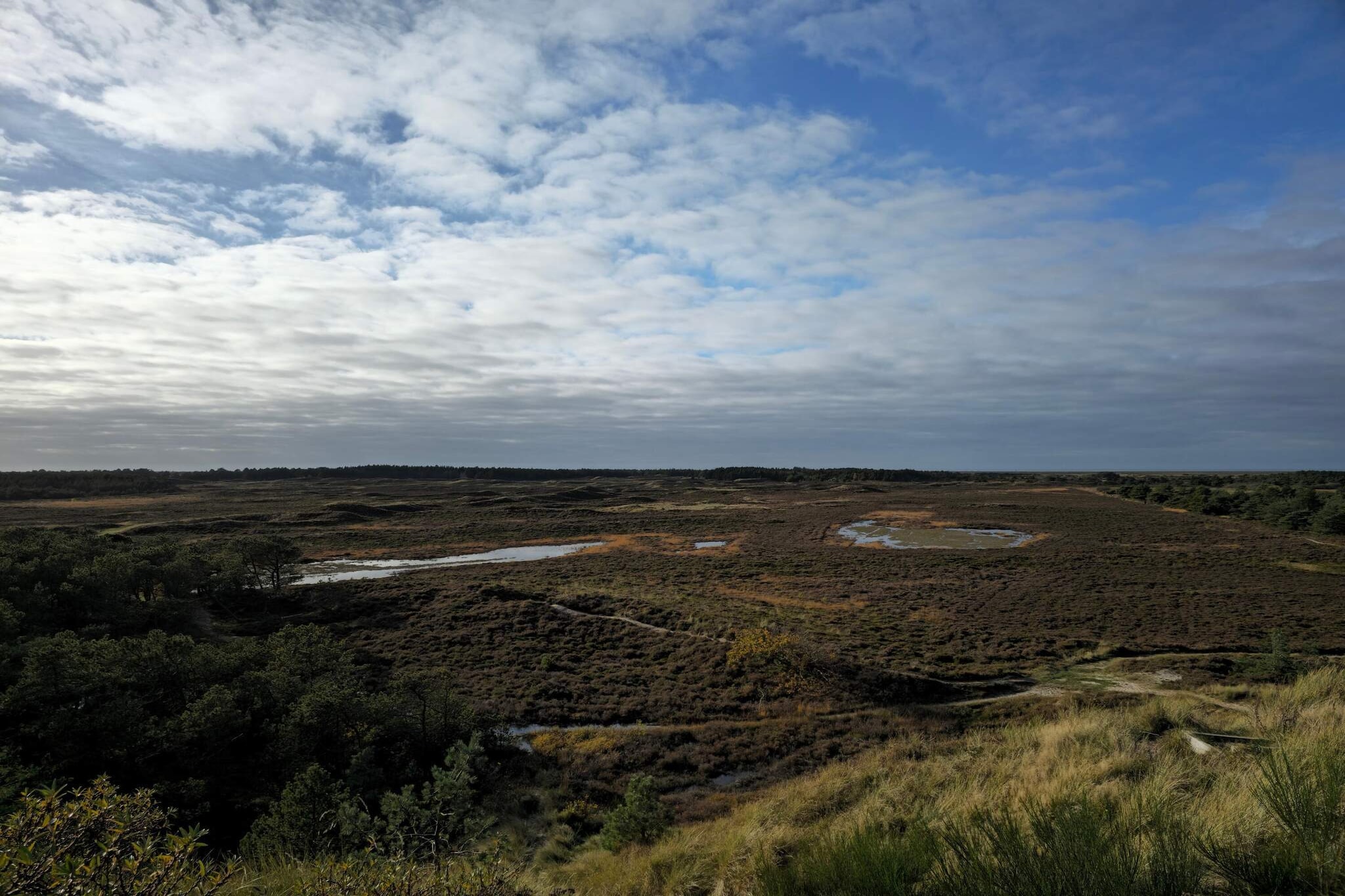 Ruhige Reetdachkate auf Romo-By Traum-Wasserblick