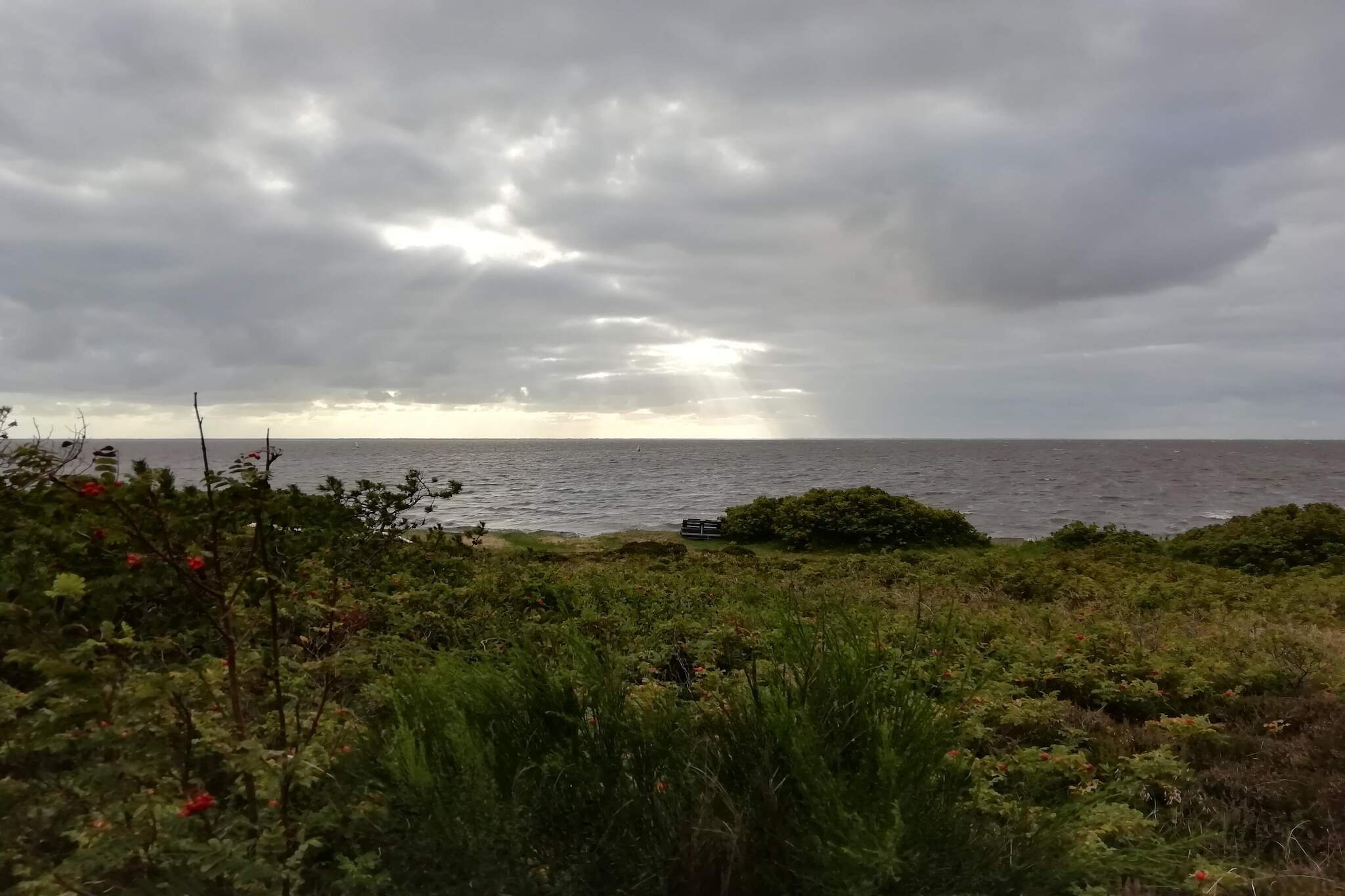 6 Personen Ferienhaus in Hemmet-Wasserblick