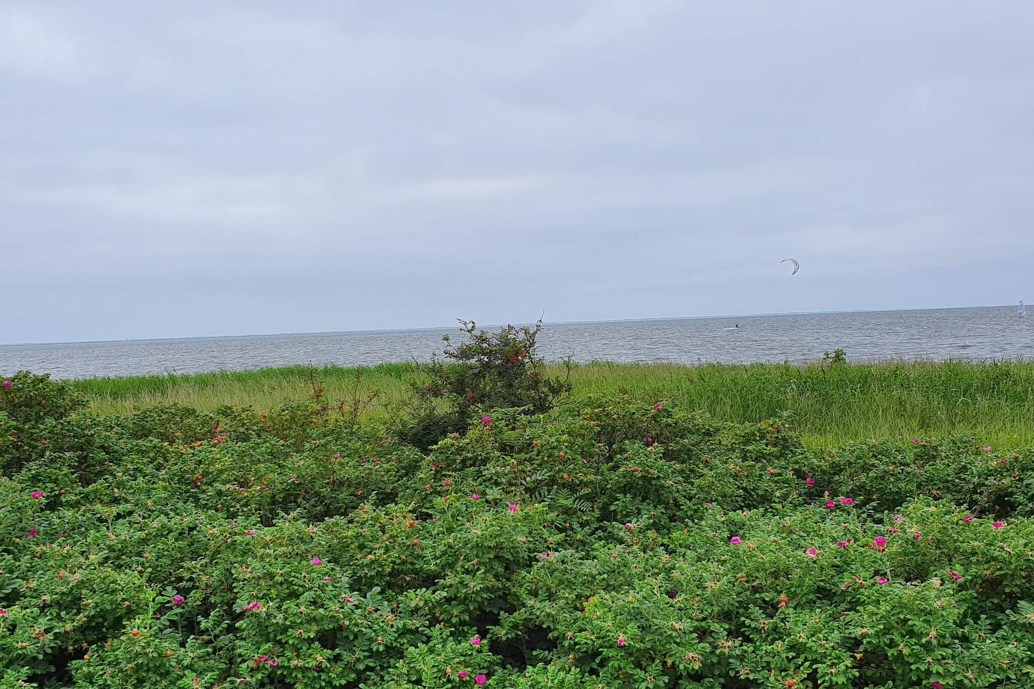 6 Personen Ferienhaus in Hemmet-Wasserblick