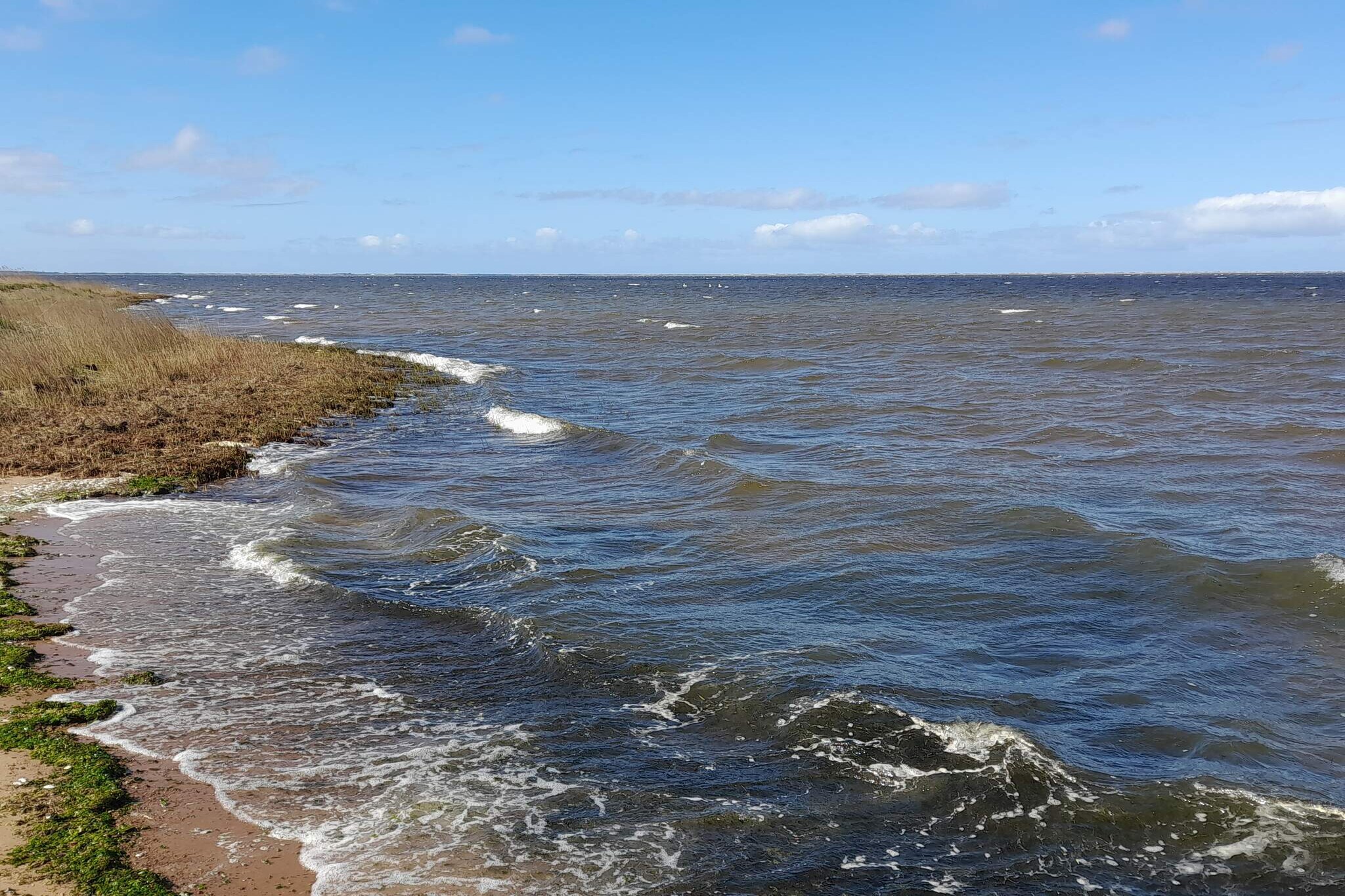 6 Personen Ferienhaus in Hemmet-Wasserblick