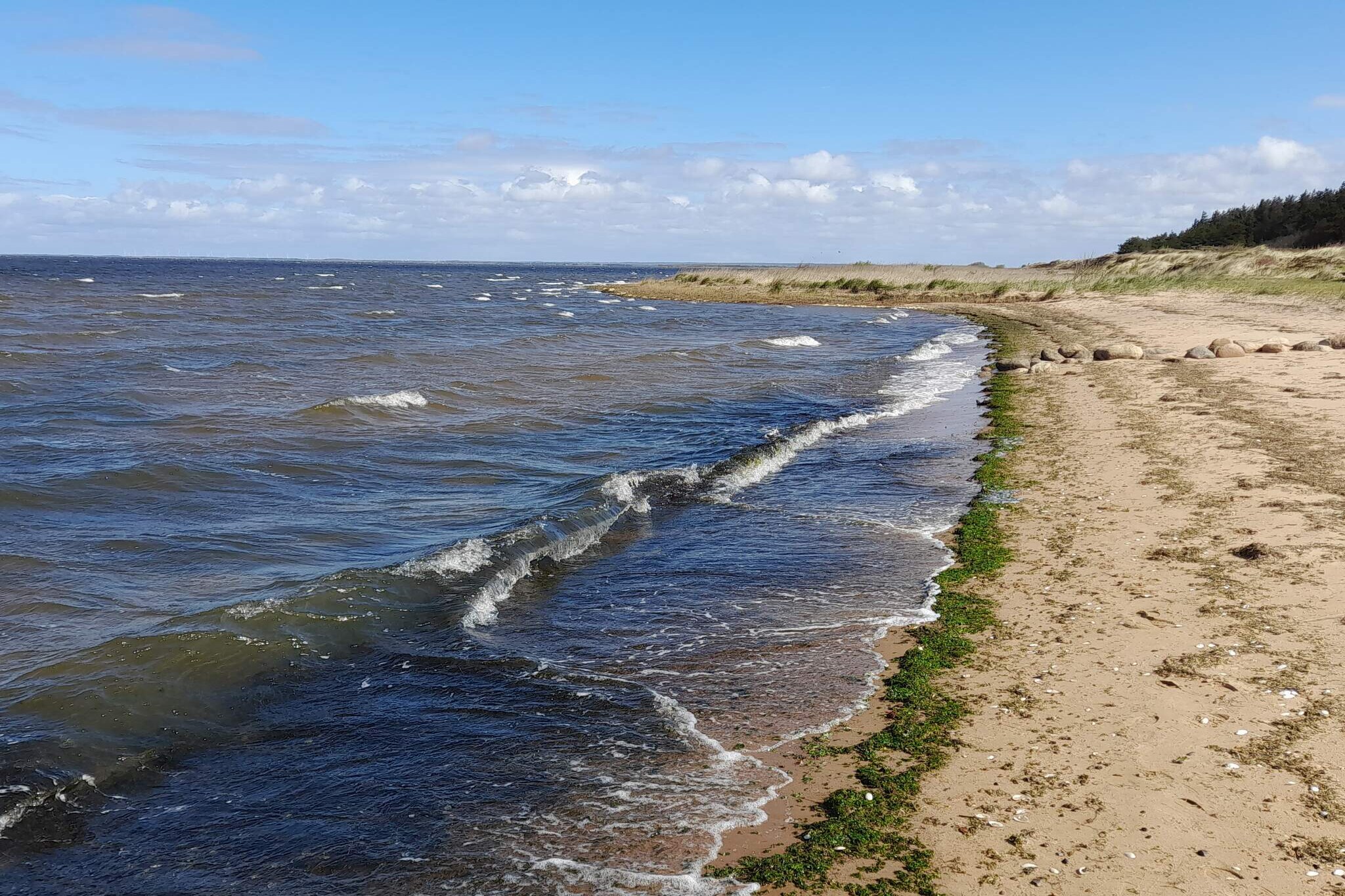6 Personen Ferienhaus in Hemmet-Wasserblick