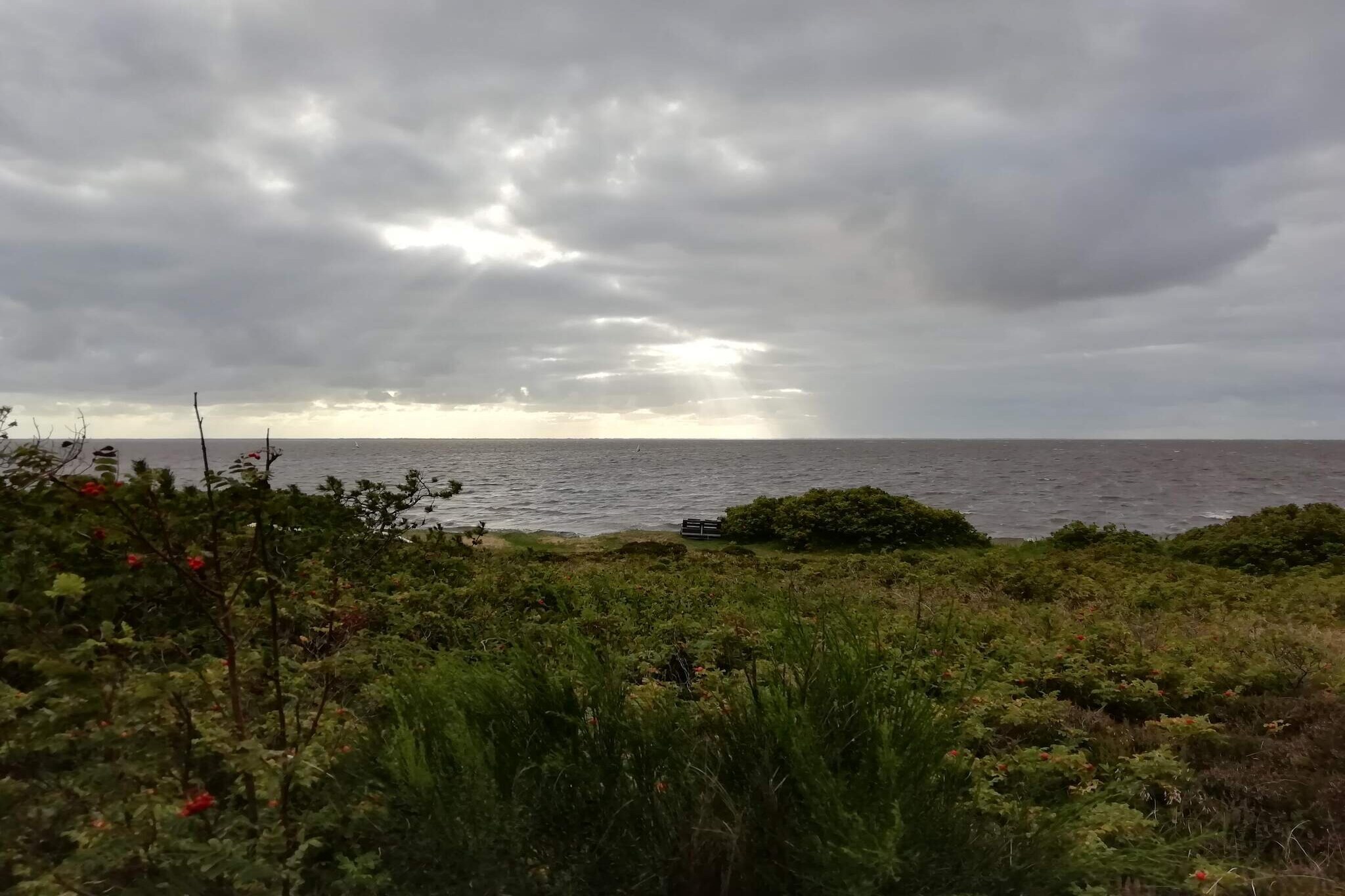 6 person holiday home in Hemmet