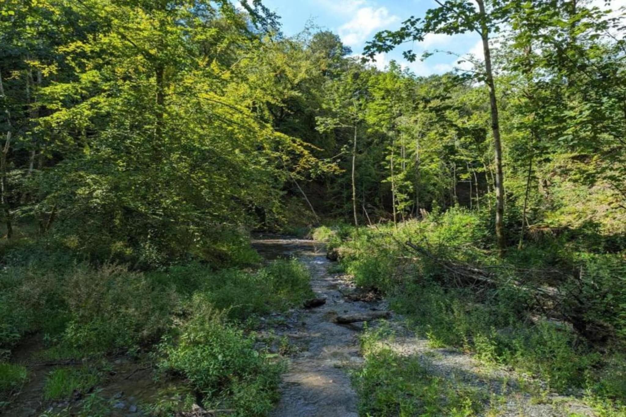 Les Rivières-Gebieden zomer 20km