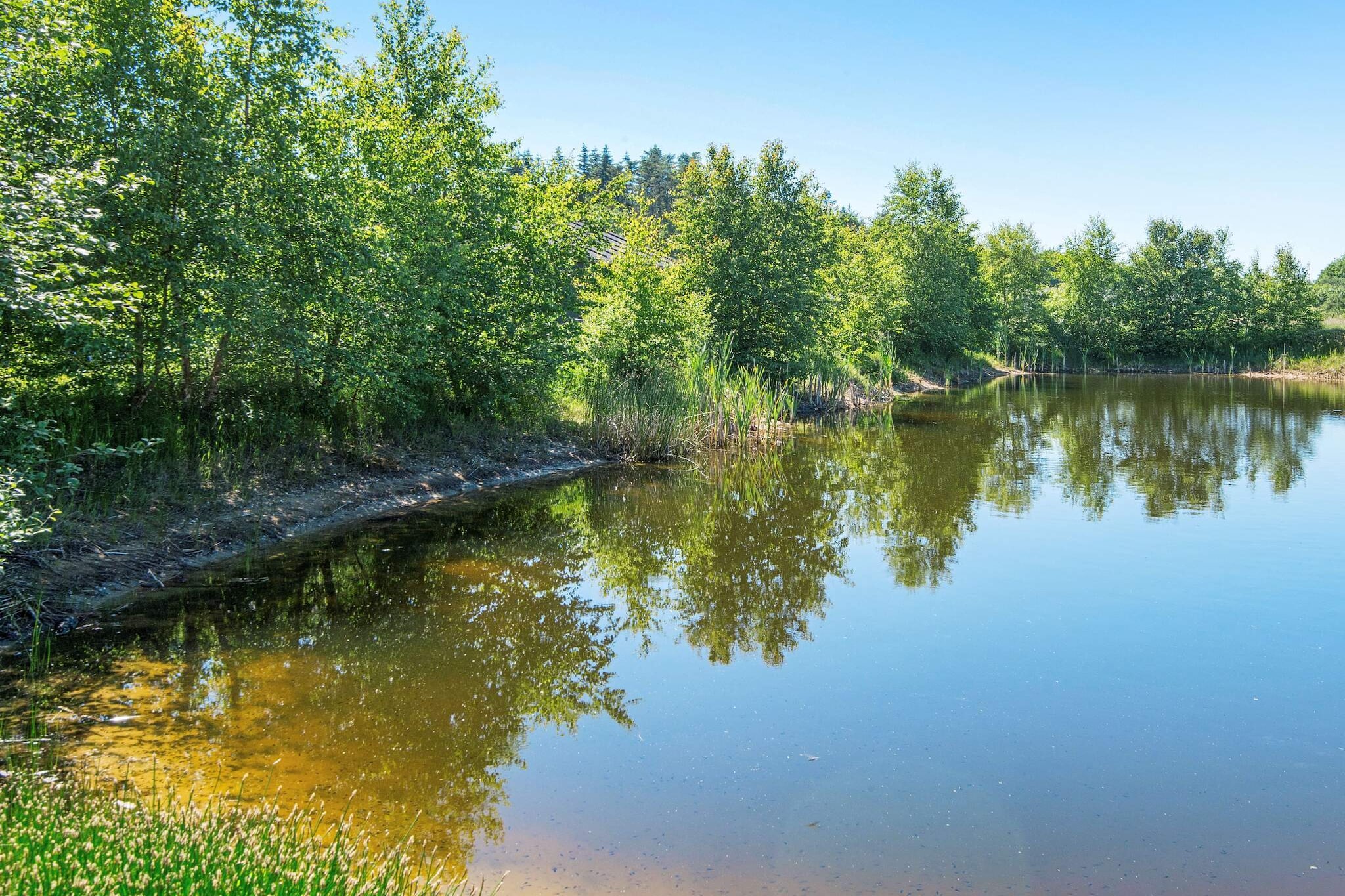 Maison de vacances pour 8 a Glesborg - Vue sur l'eau