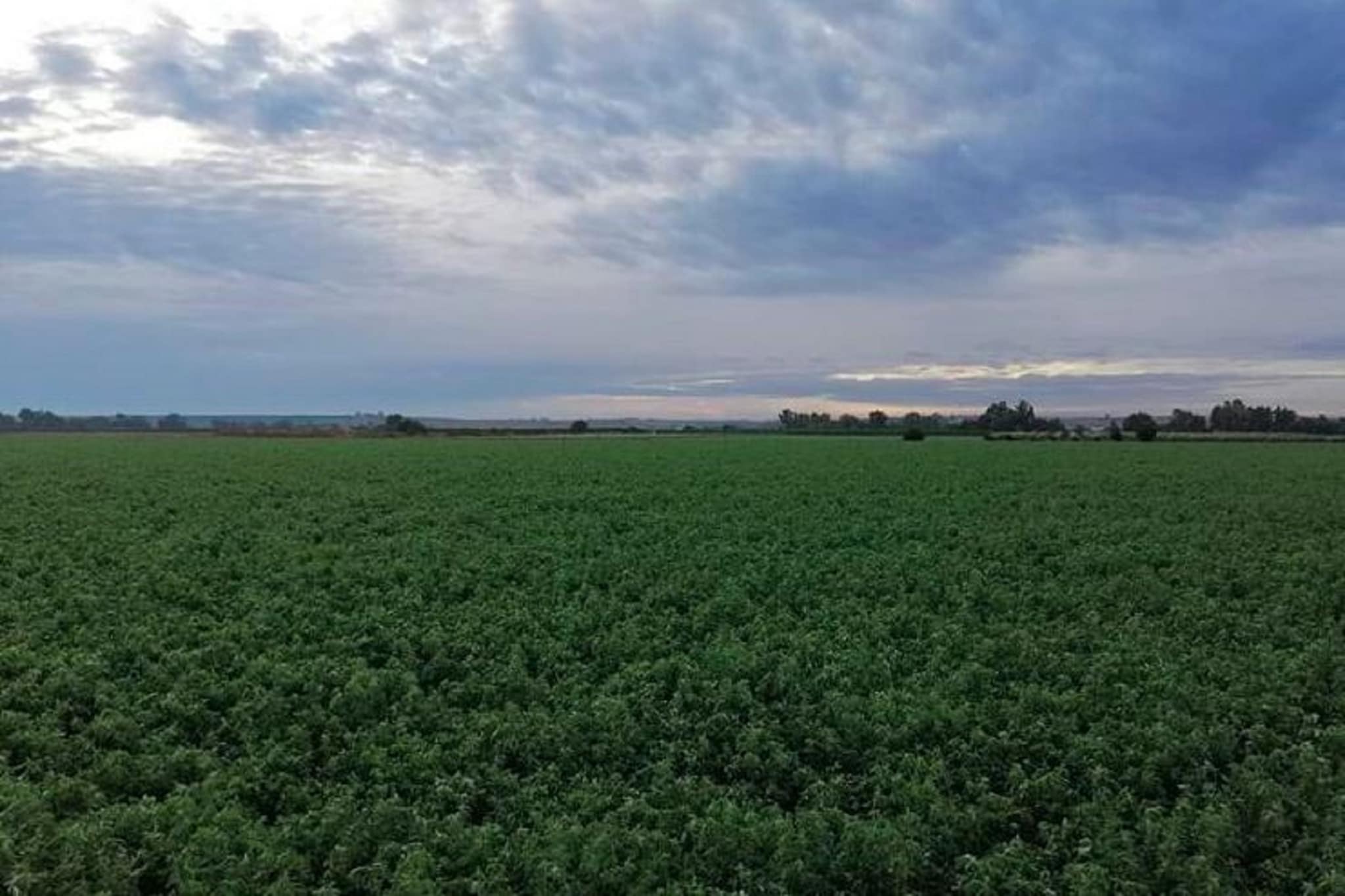 El rincón de Rivero