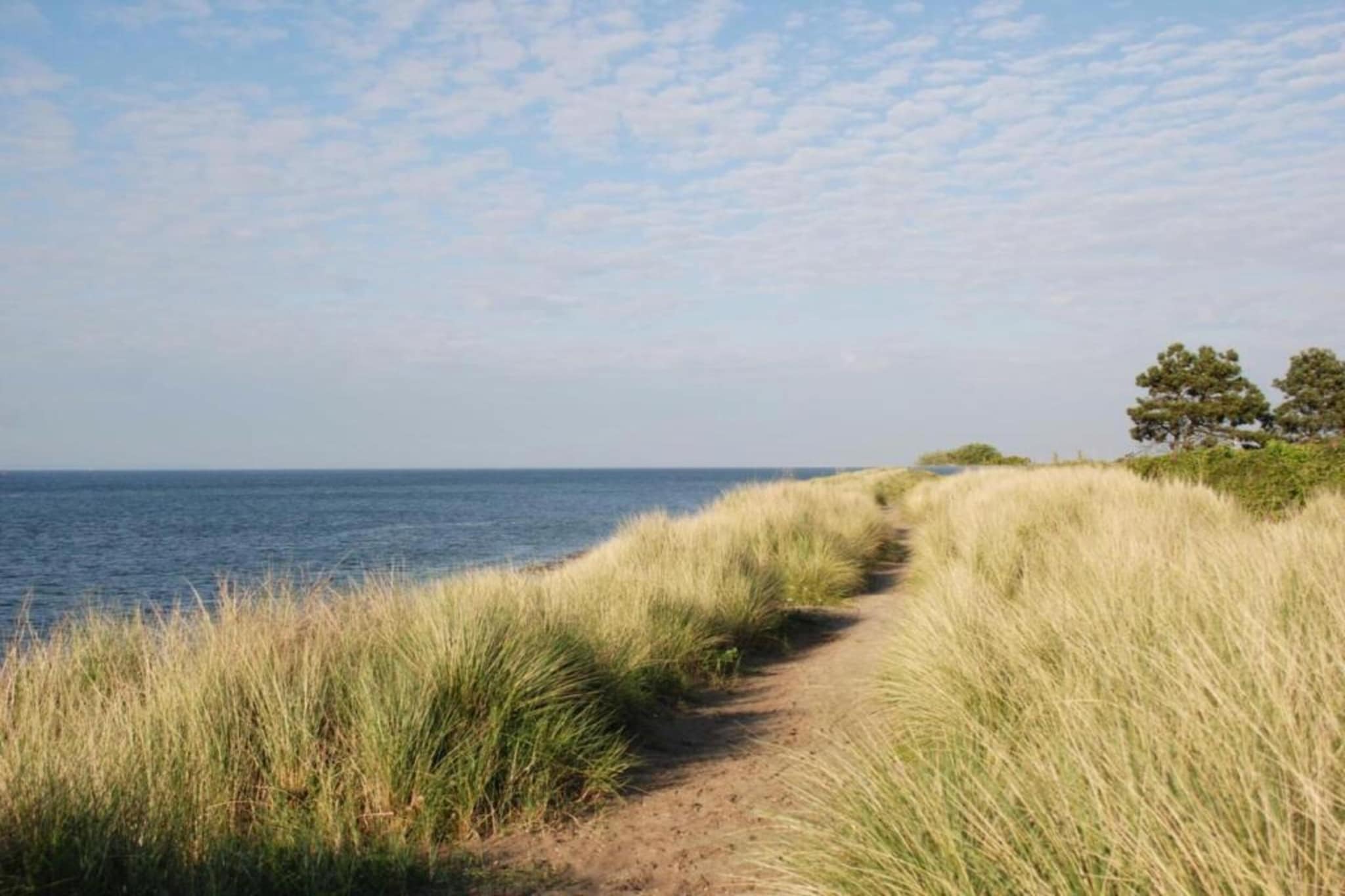 Domein het Camperveer Veerse Meer 3-Gebieden zomer 5km