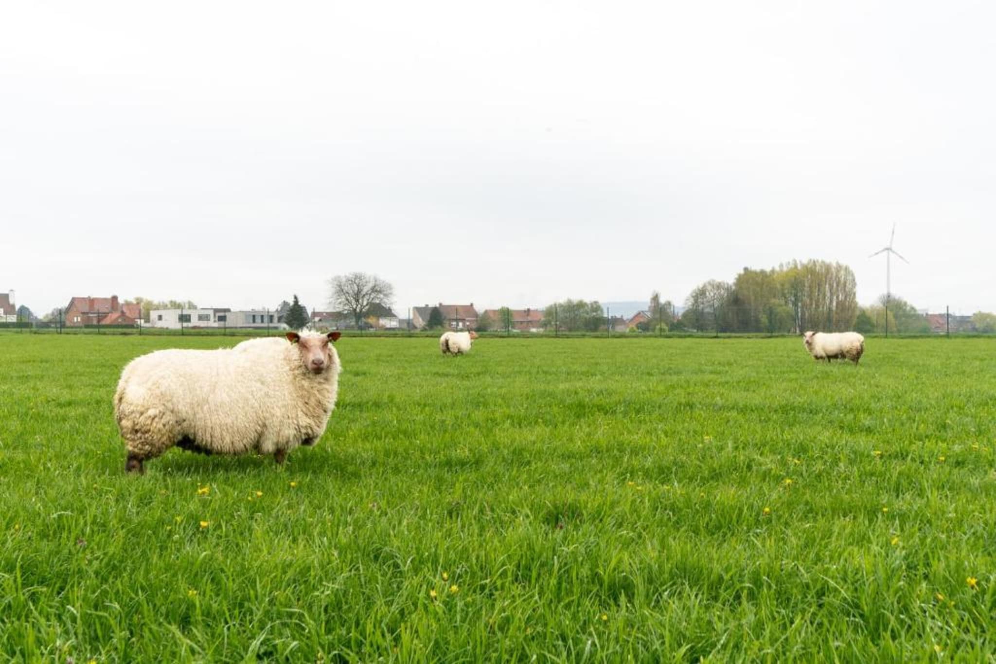 Wellness vakantiehuis Vlaamse Ardennen-Gebieden zomer 20km