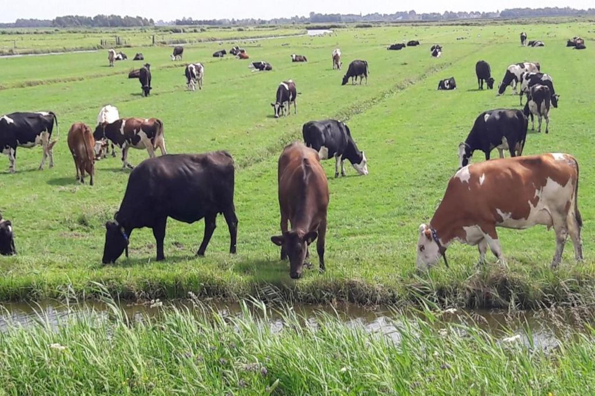 Resort de Rijp 18-Areas summer 20km
