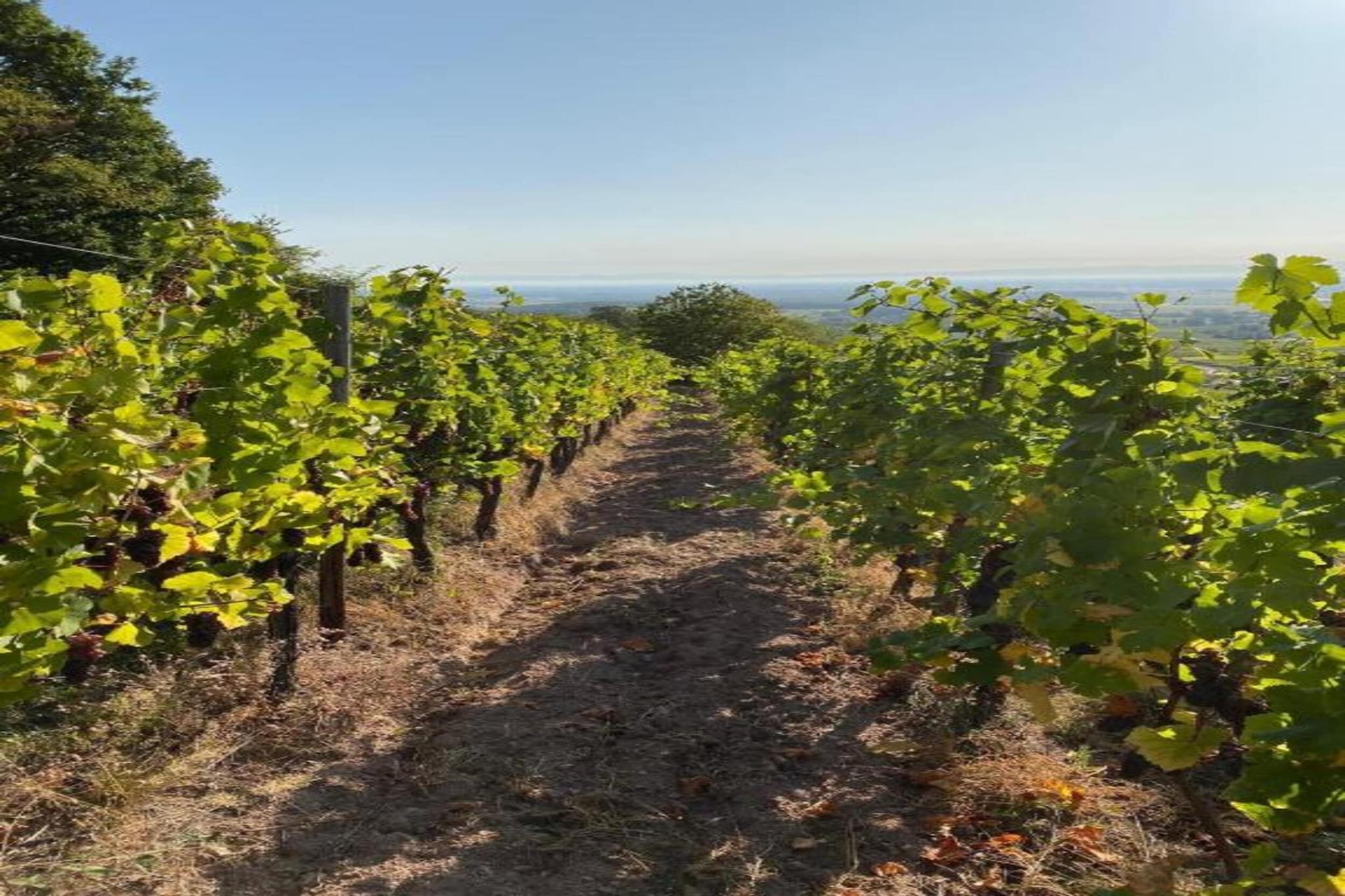 Grand Gite North-Gebieden zomer 5km