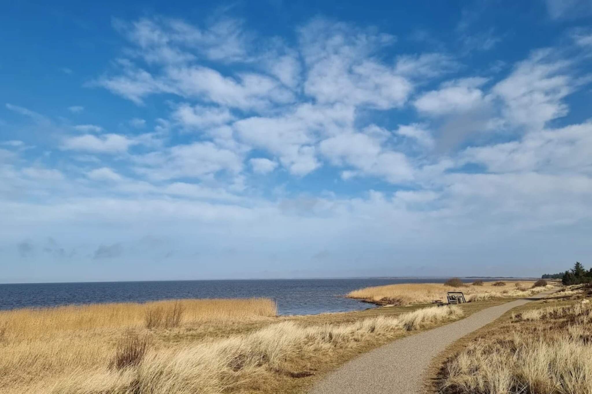 6 persoons vakantie huis in Hemmet-Niet-getagd