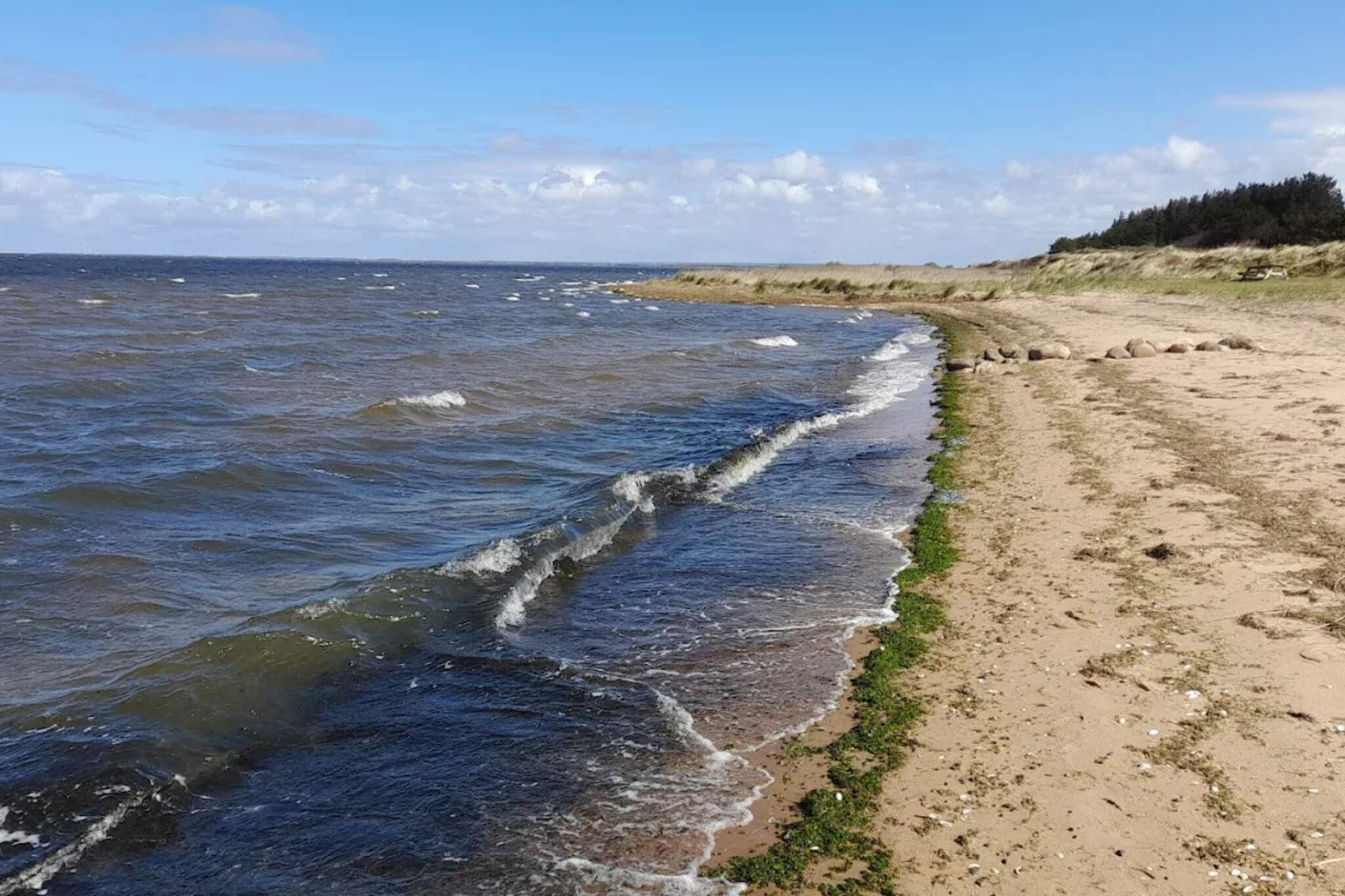 6 persoons vakantie huis in Hemmet-Waterzicht
