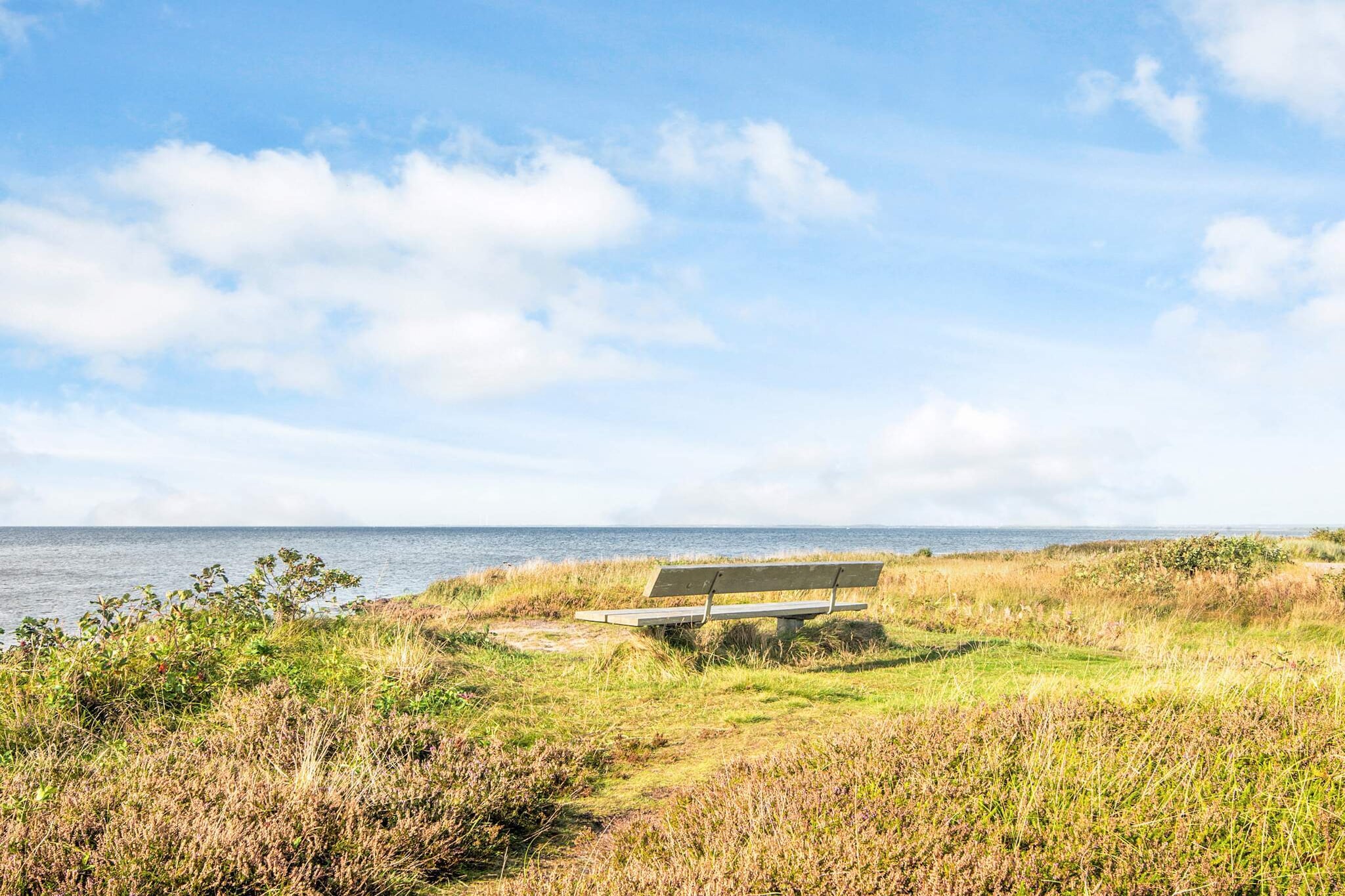 6 persoons vakantie huis in Hemmet - Niet-getagd