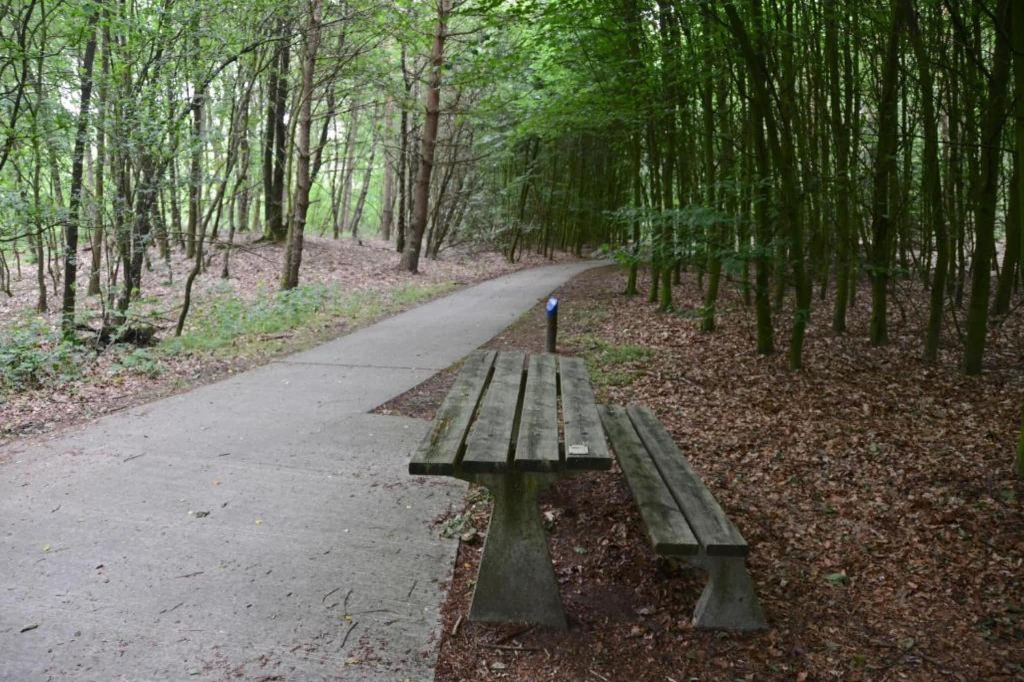 RCN Vakantiepark de Noordster 10-Gebieden zomer 20km