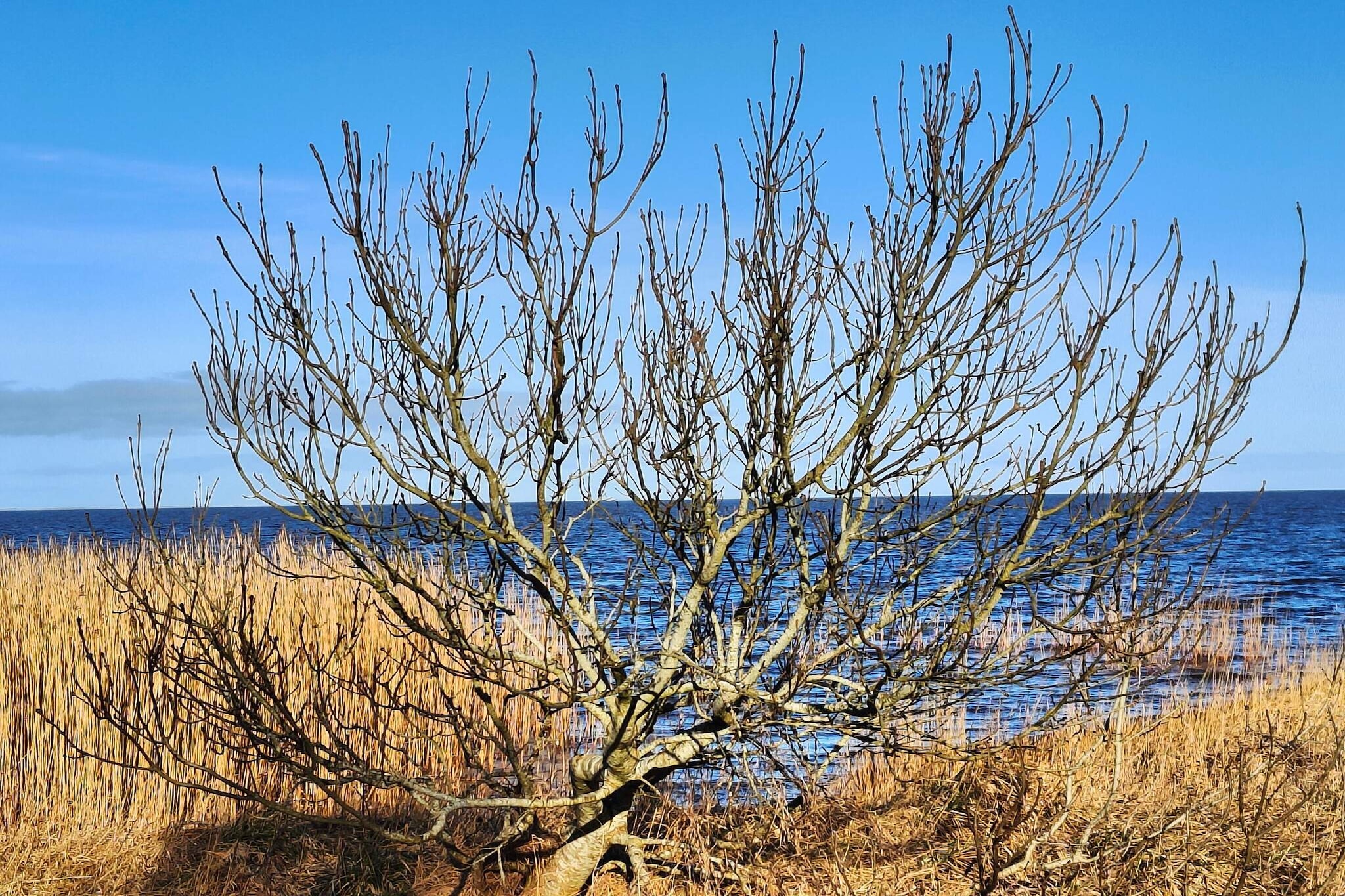 5 Personen Ferienhaus in Tarm-Wasserblick