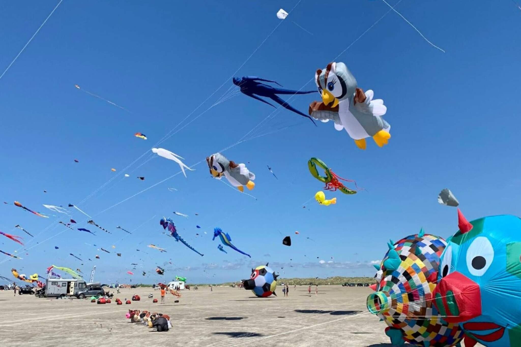 This charming cottage by Rindby Strand is within walking distance to the beach and shopping. The cottage's 60 m2 is best suited for two adults and two children. During the summer months, it is also possible to use the house's unheated annex with the two extra beds. The kitchen is i.a. equipped with coffee machine, microwave, refrigerator with 10 L freezer and ceramic hobs. In the living room there is cable TV with Danish and German programs. The natural plot is completely undisturbed and is often visited by deer and rabbits that live freely on Fanø. Summer evenings can be enjoyed in the lovely glass pavilion in the middle of the grounds or on the terrace of the house. There is a barbecue available. There are good parking facilities directly at the house. Not for rent to youth groups.
A refundable deposit might be charged closer to your check-in date. This deposit covers utilities consumed during your stay and any additional services that may be taken. The final amount will be adjusted based on actual meter readings, actual usage of extra services, and any remaining balance will be refunded within 21 days after checkout.