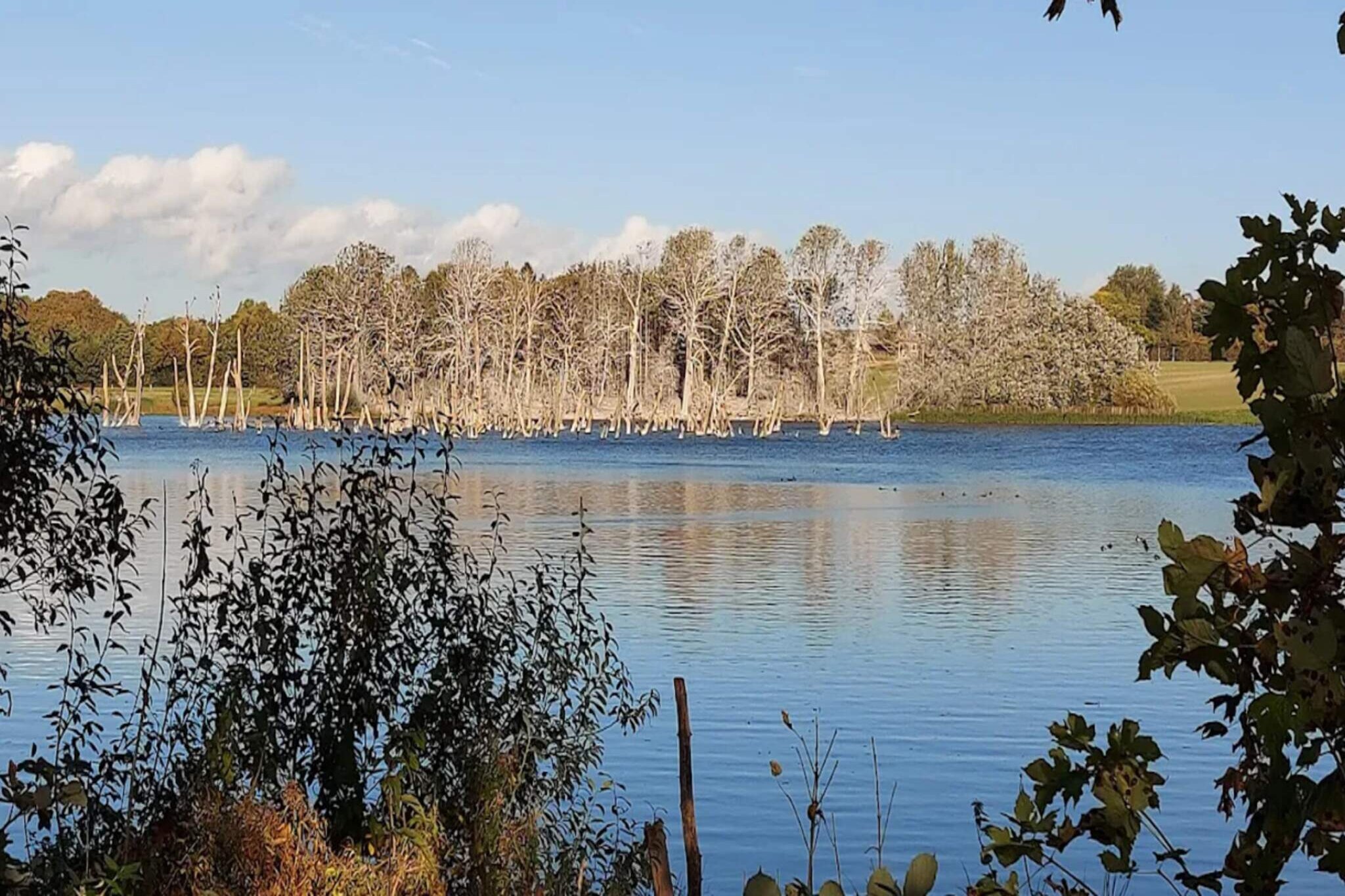 8 Personen Ferienhaus in Nysted-Wasserblick