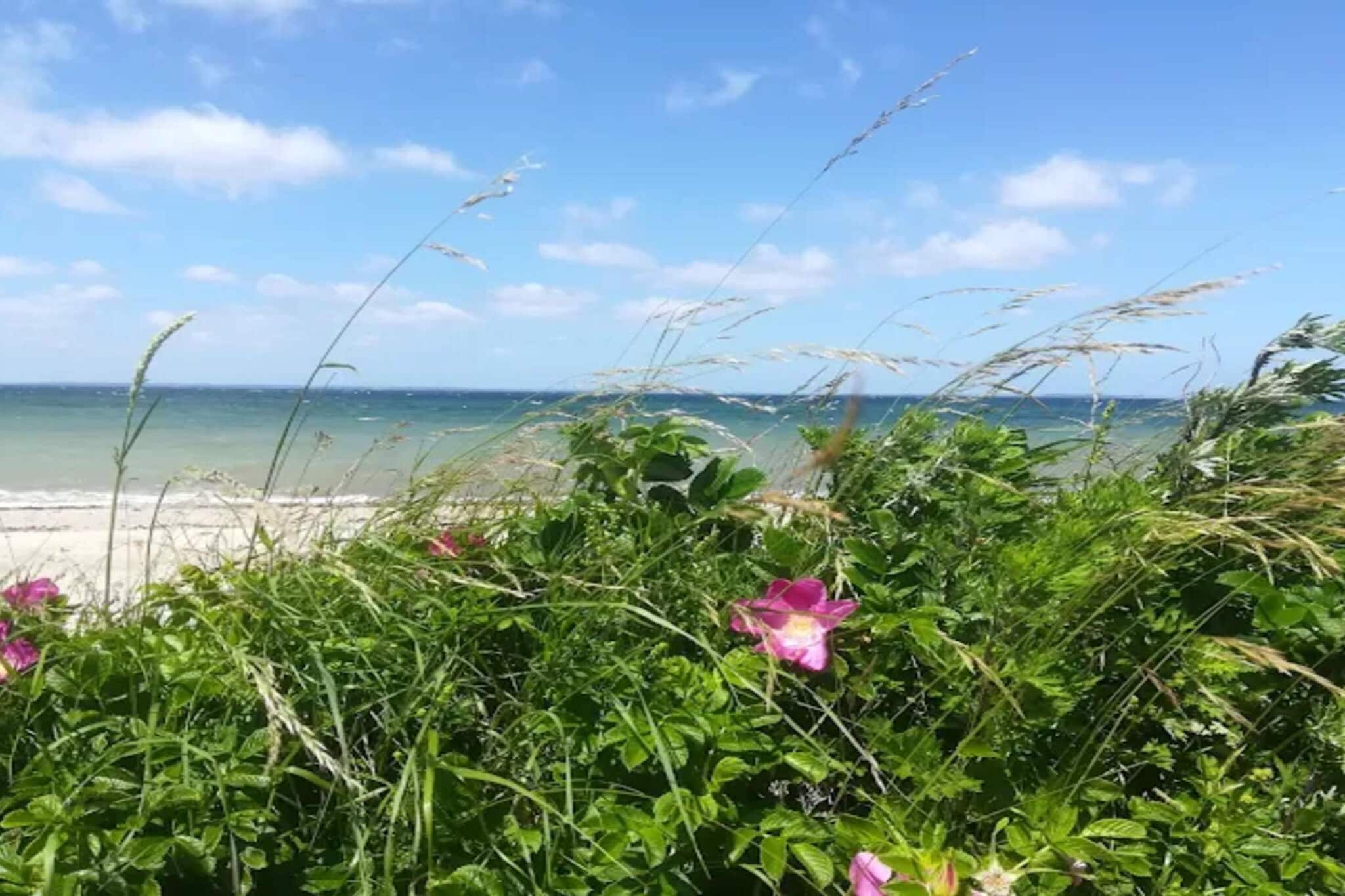 6 person holiday home in Nordborg-Water view