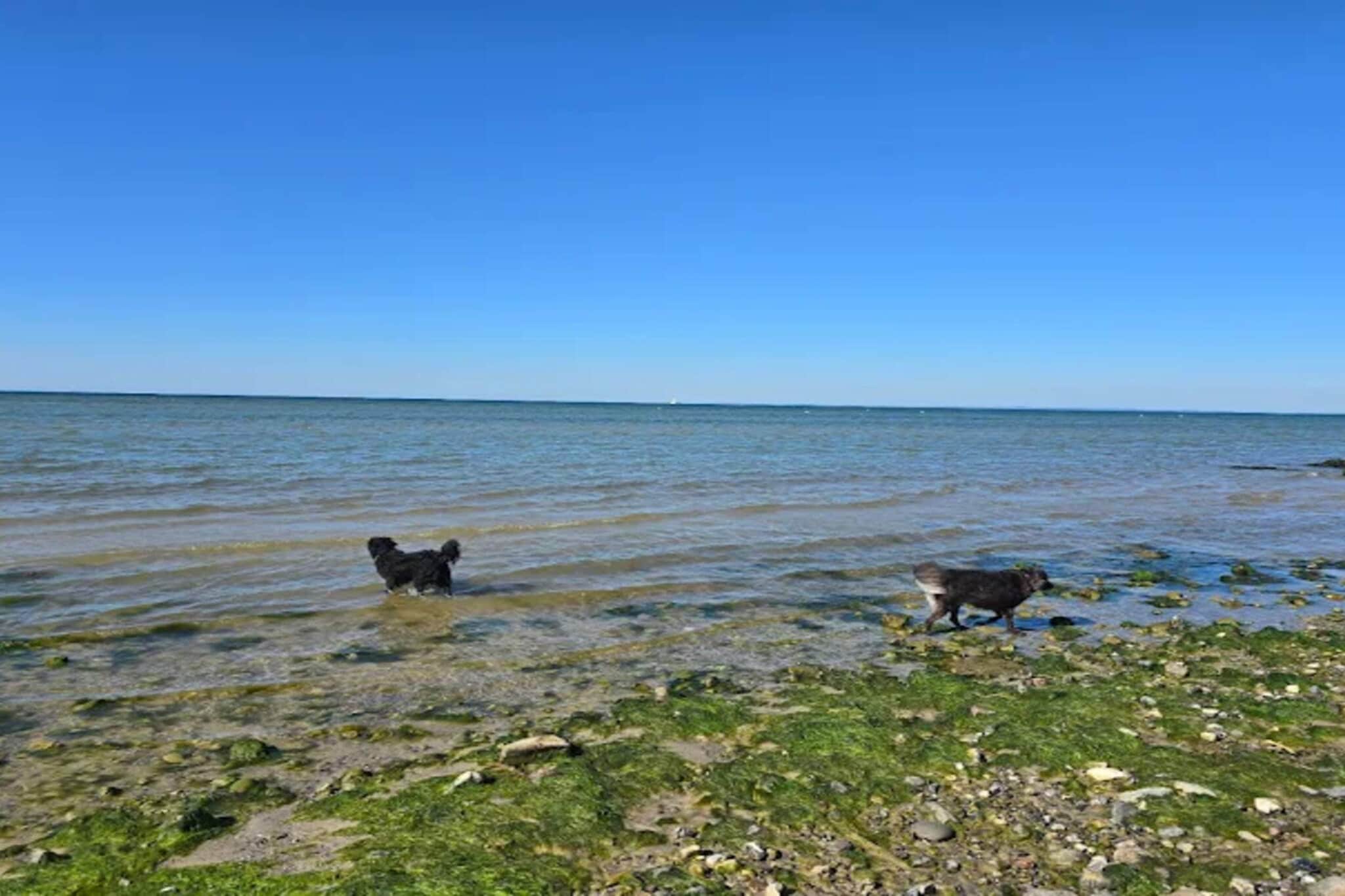 6 person holiday home in Nordborg-Water view