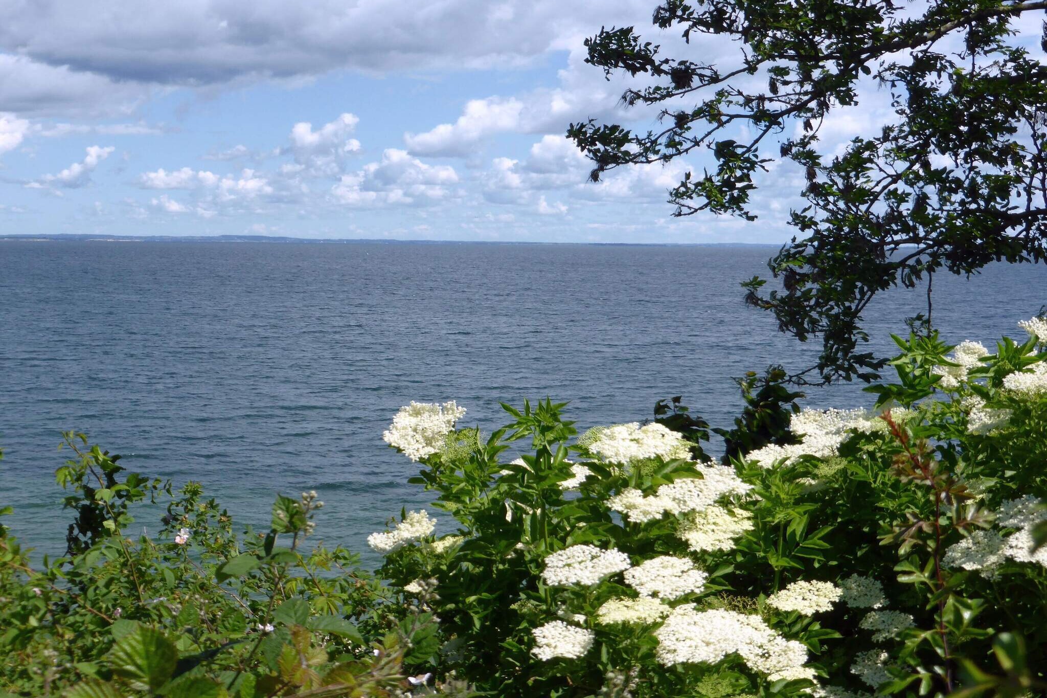 6 persoons vakantie huis in Augustenborg-Waterzicht