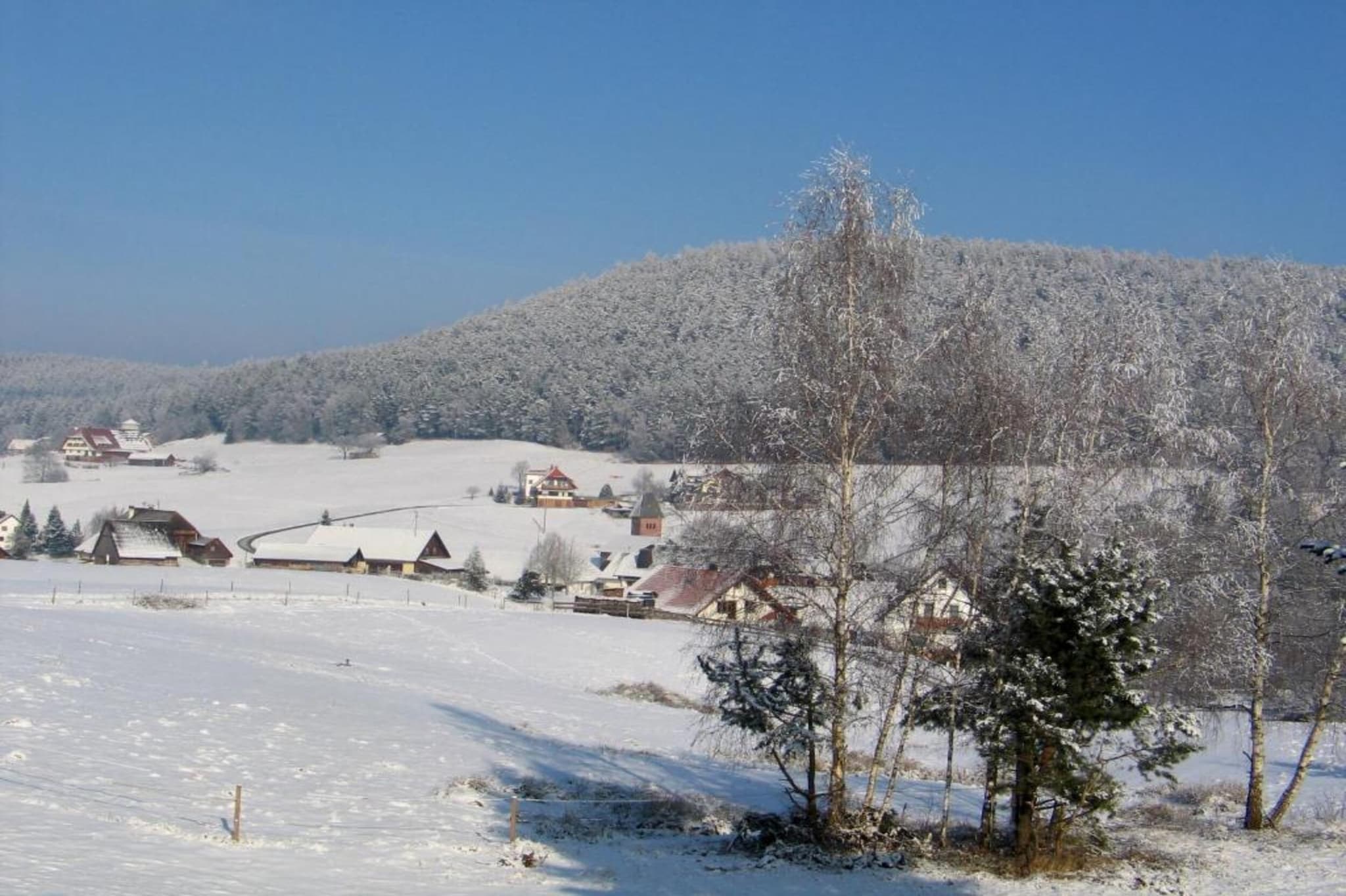 Haus Epting-Area winter 20km