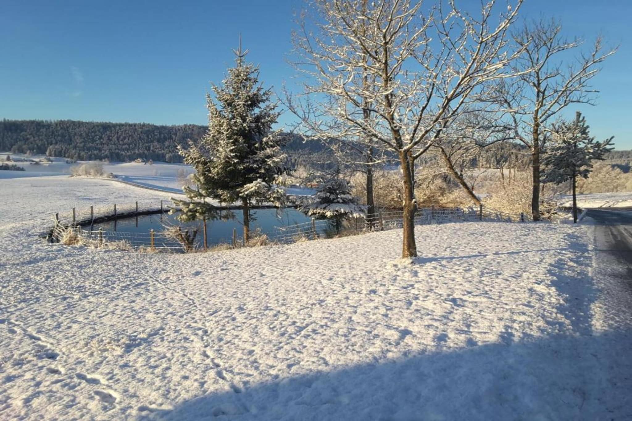 Haus Epting-Area winter 20km