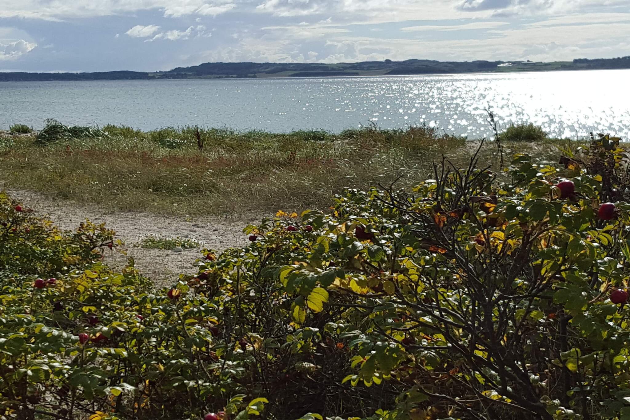 8 Personen Ferienhaus in Ebeltoft - Wasserblick