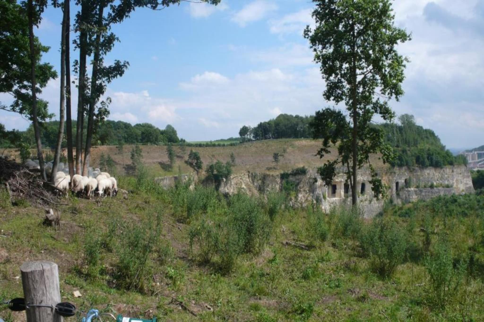 Resort Maastricht 13-Gebiete Sommer 20 km