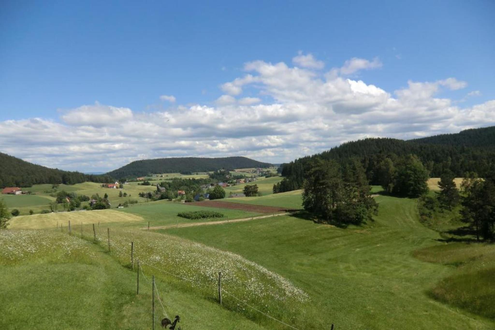 Meisdorf II-Areas summer 20km